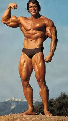 Arnold Schwarzenegger Bodybuilders Hd Background