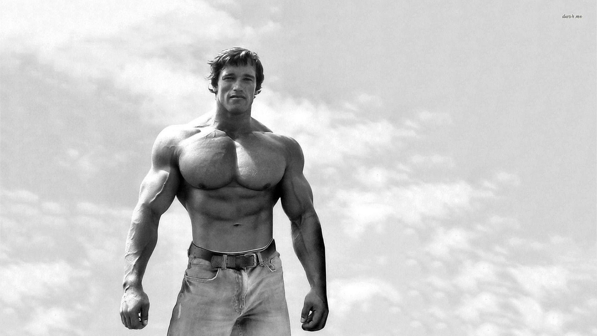 Arnold Schwarzenegger: Hollywood Icon Background