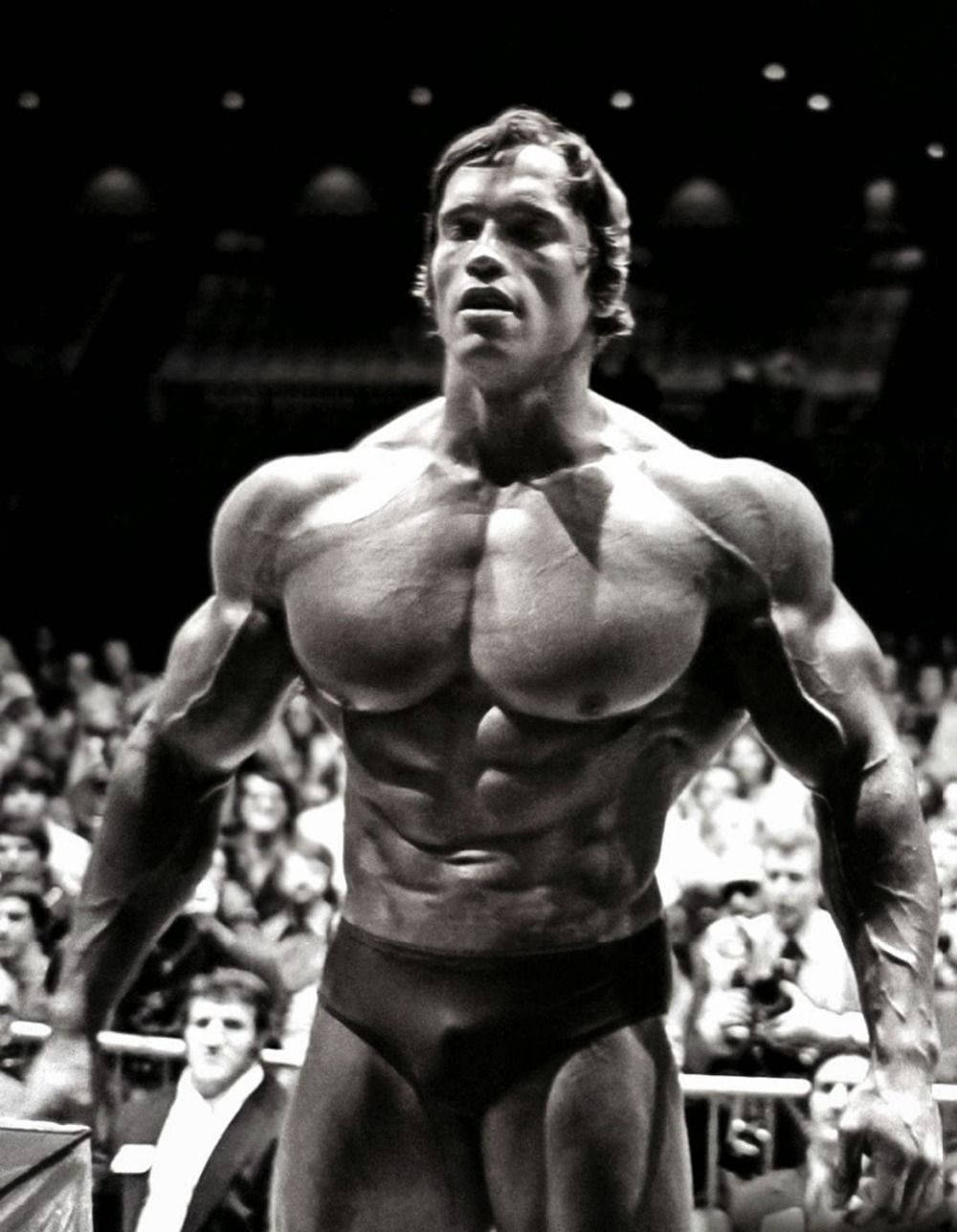 Arnold Schwarzenegger In Black And White Background