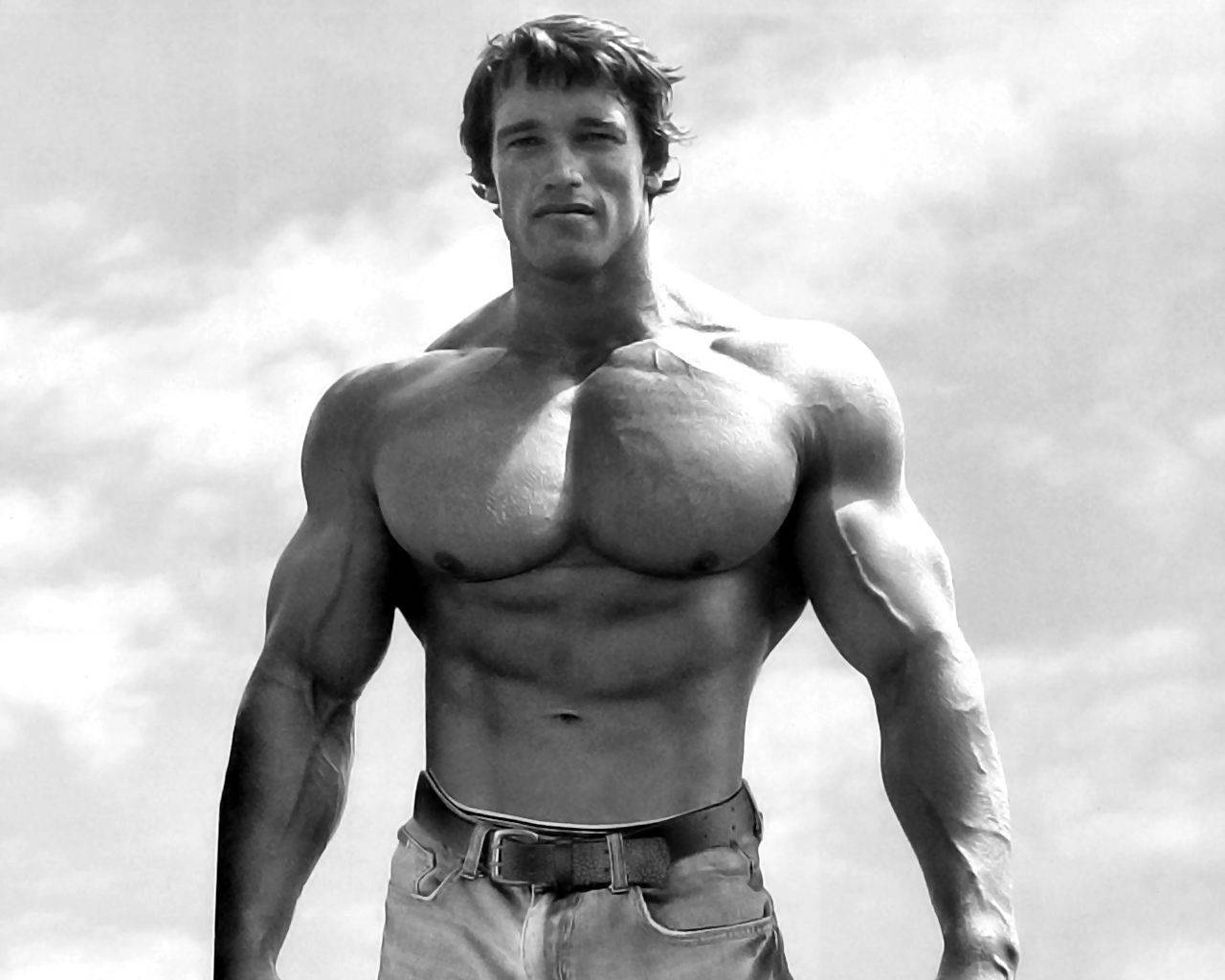 Arnold Schwarzenegger - Legendary Actor And Former Governor Background