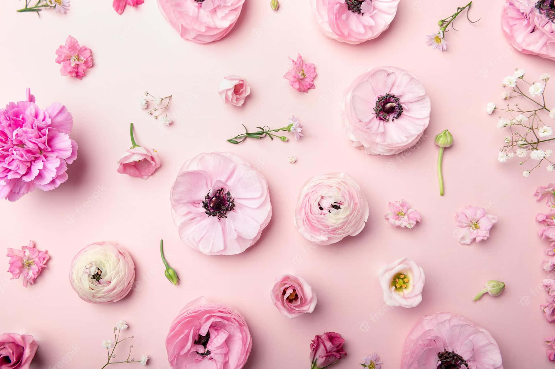 Arrangement Of Tender Pink Flowers Background