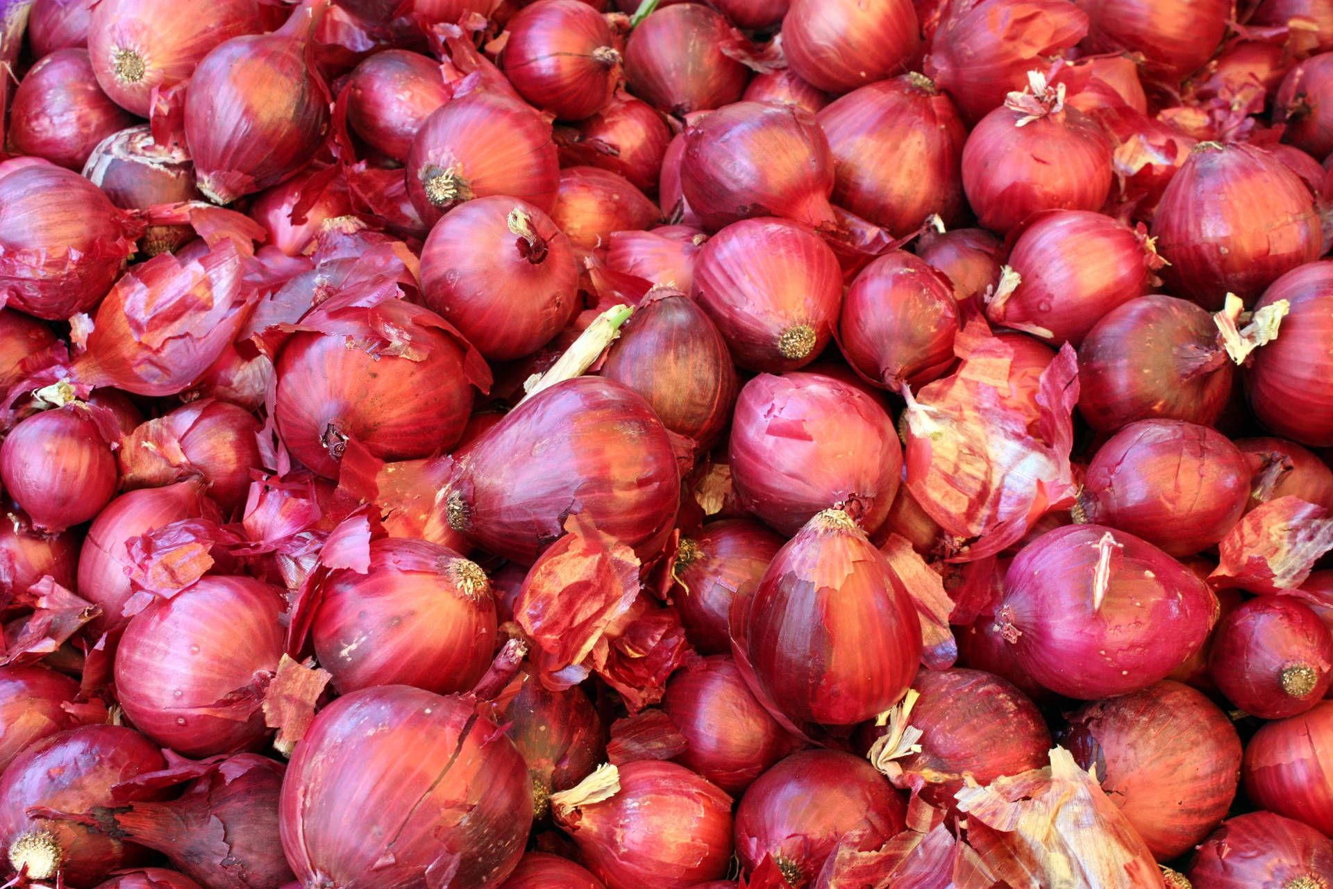 Array Of Red Onions Small To Large Size Background