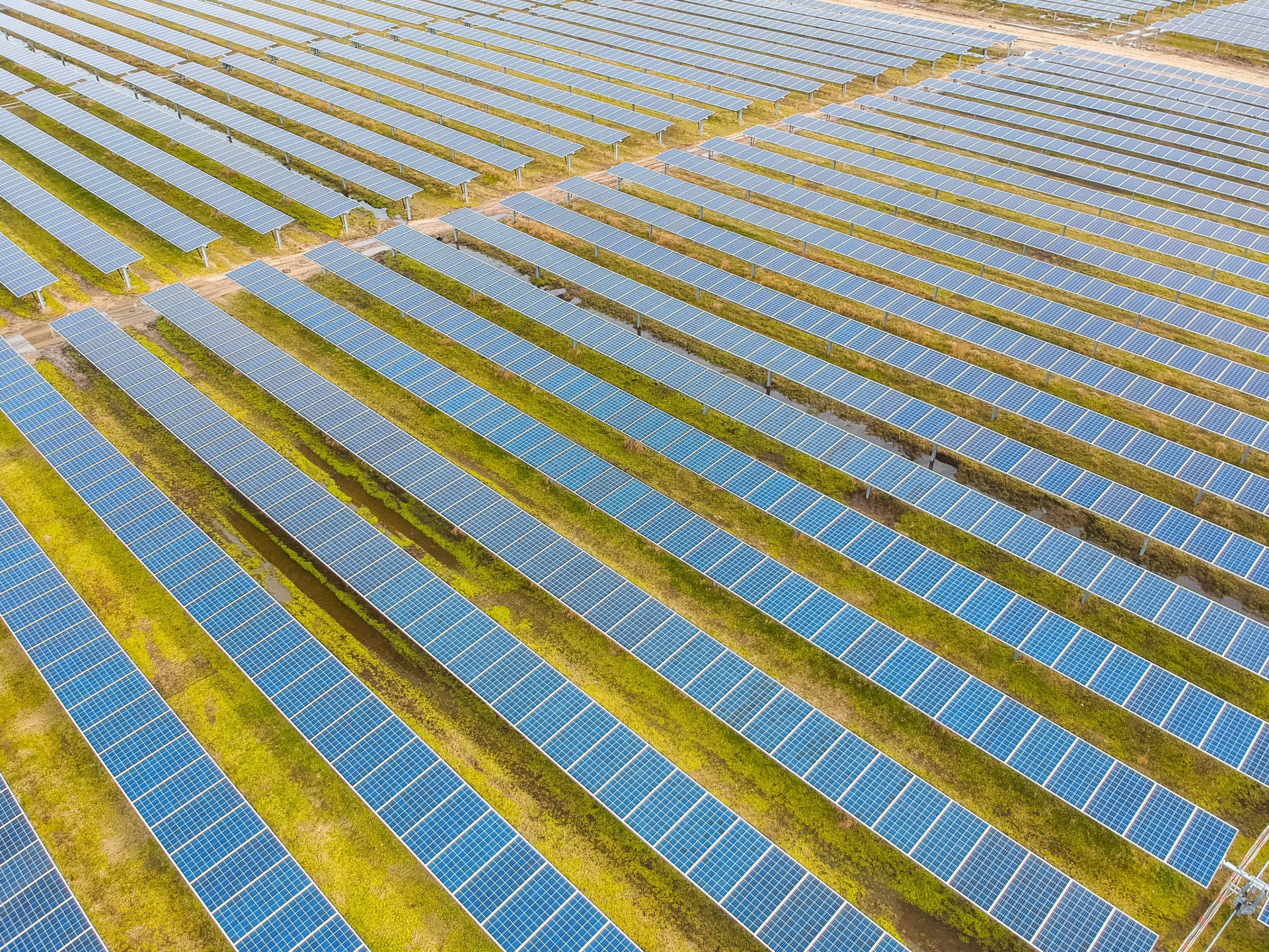 Array Of Solar Panels At Nv Energy Solar Park Background