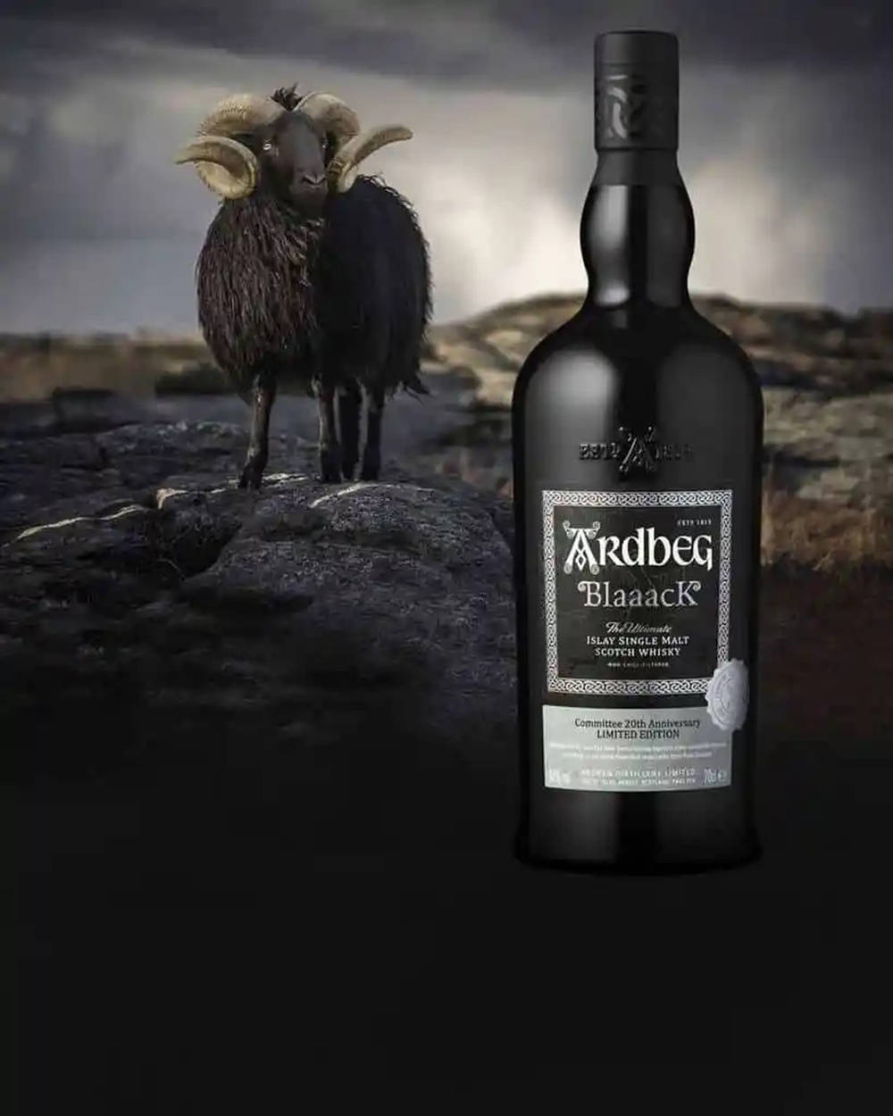 Artful Ardbeg Blaaack Whisky Bottle Displayed With A Black Sheep