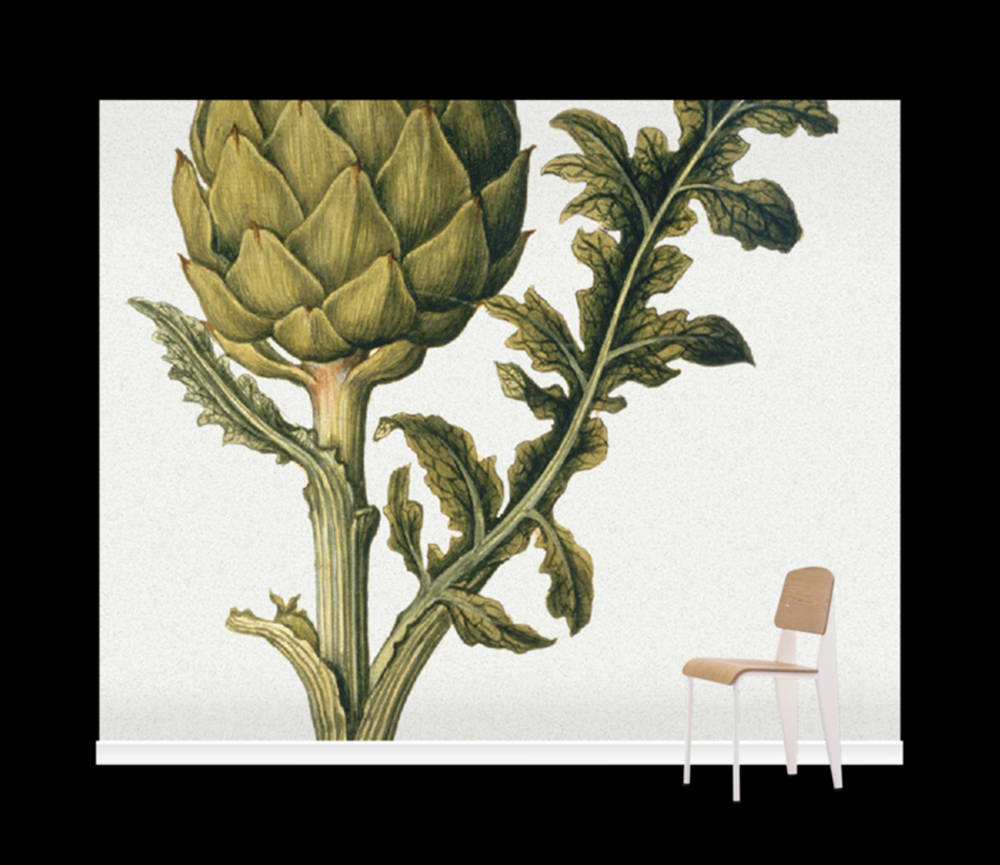 Artichoke Vegetable As A Mural Art Background