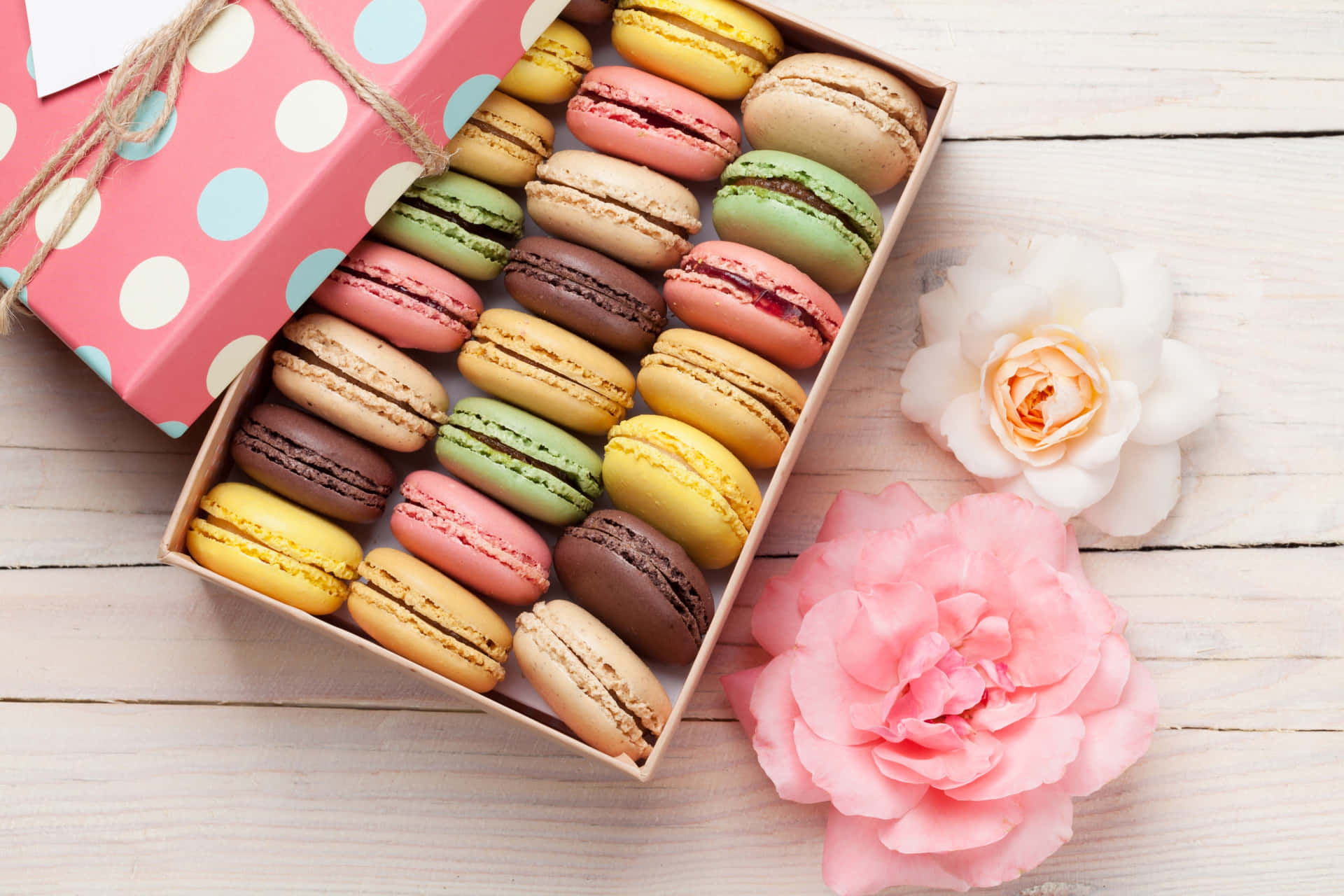 Artistic Multicolored Macaron In A Gift Box Background