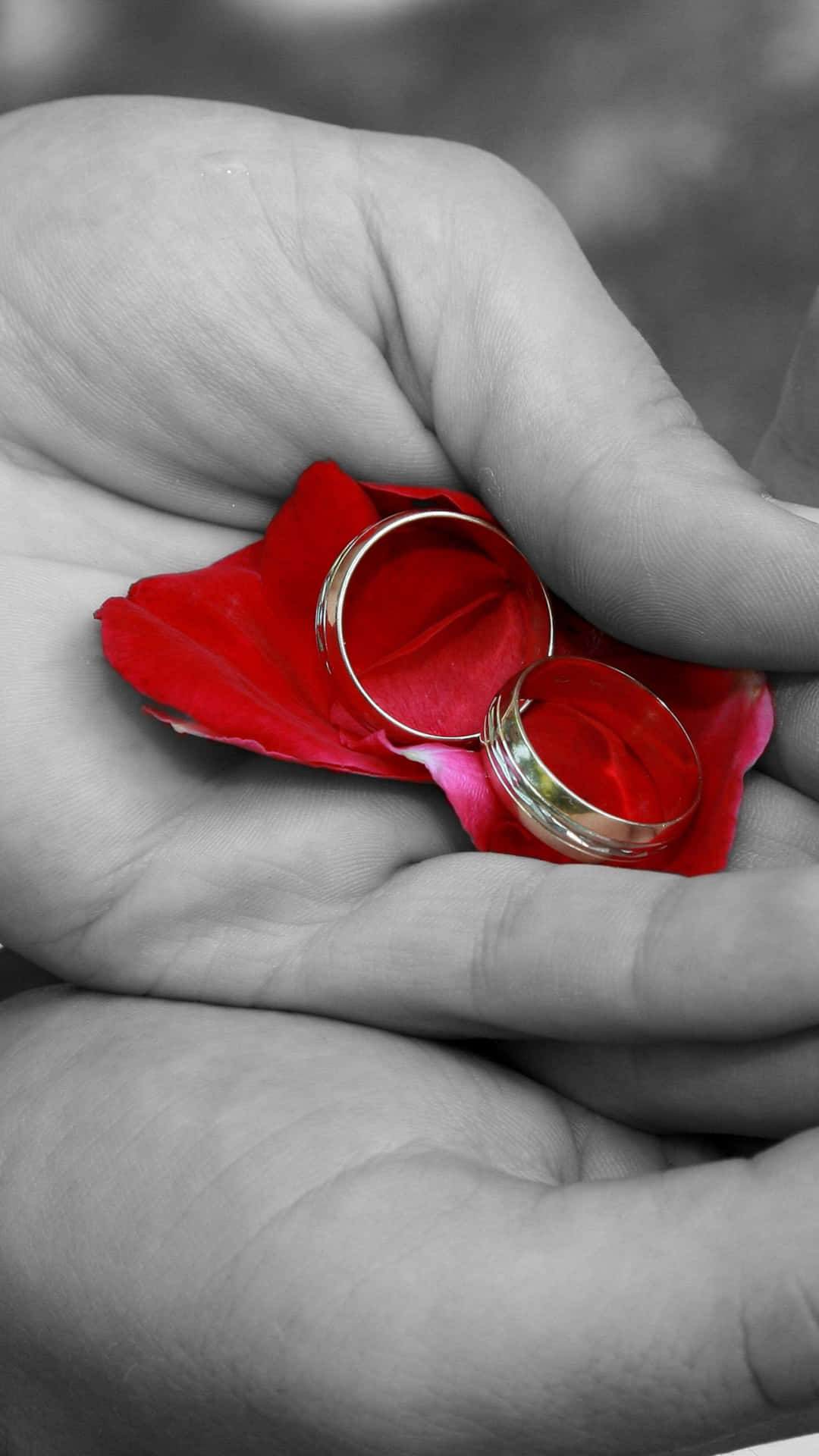 Artsy Engagement Rings Rose Shot Background