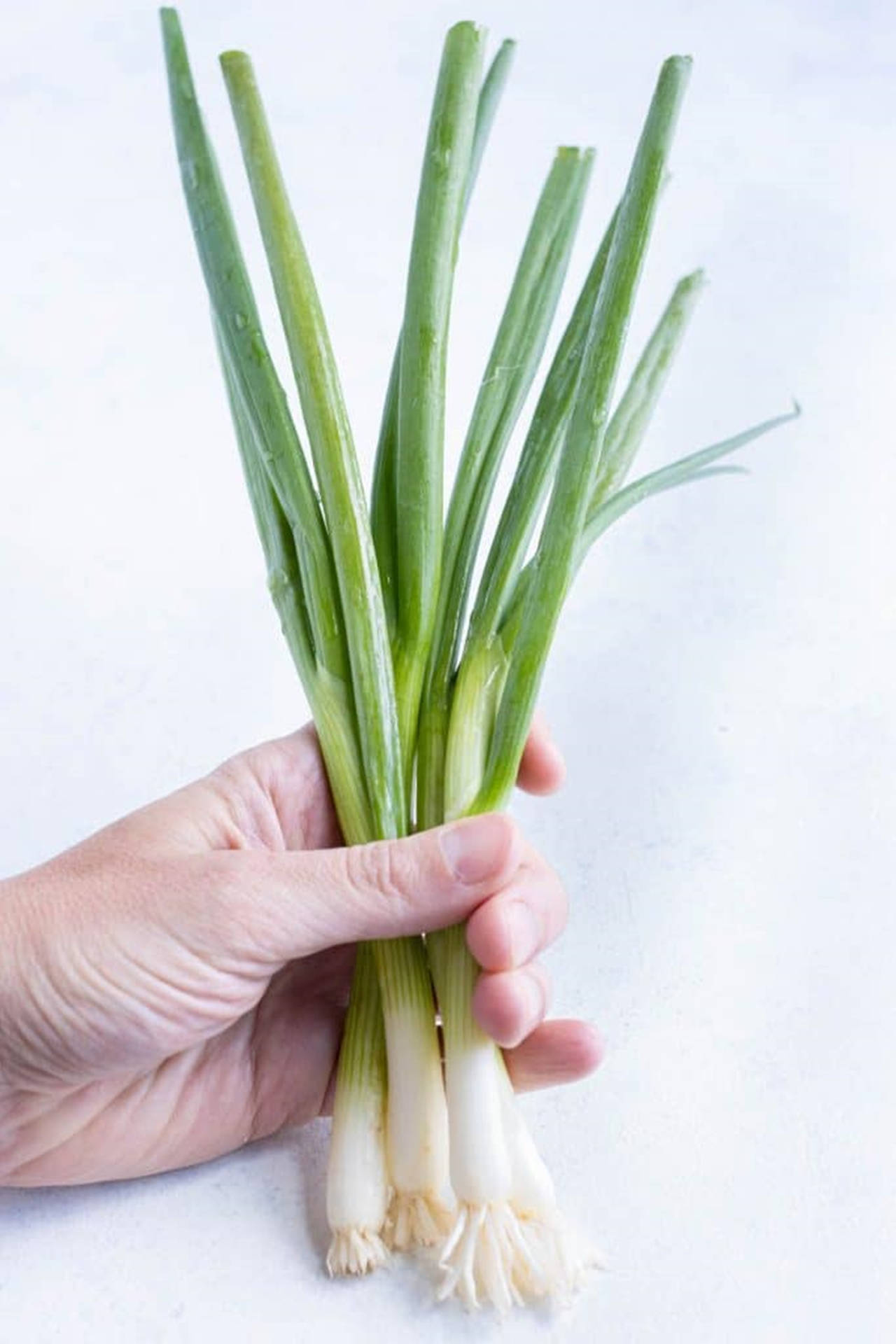 Artsy Hand Holding Green Onions Background