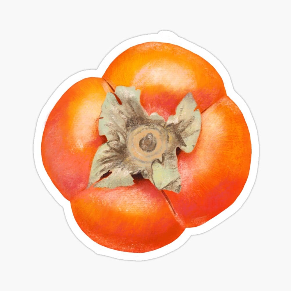 Artwork Of Persimmon Fruit Background