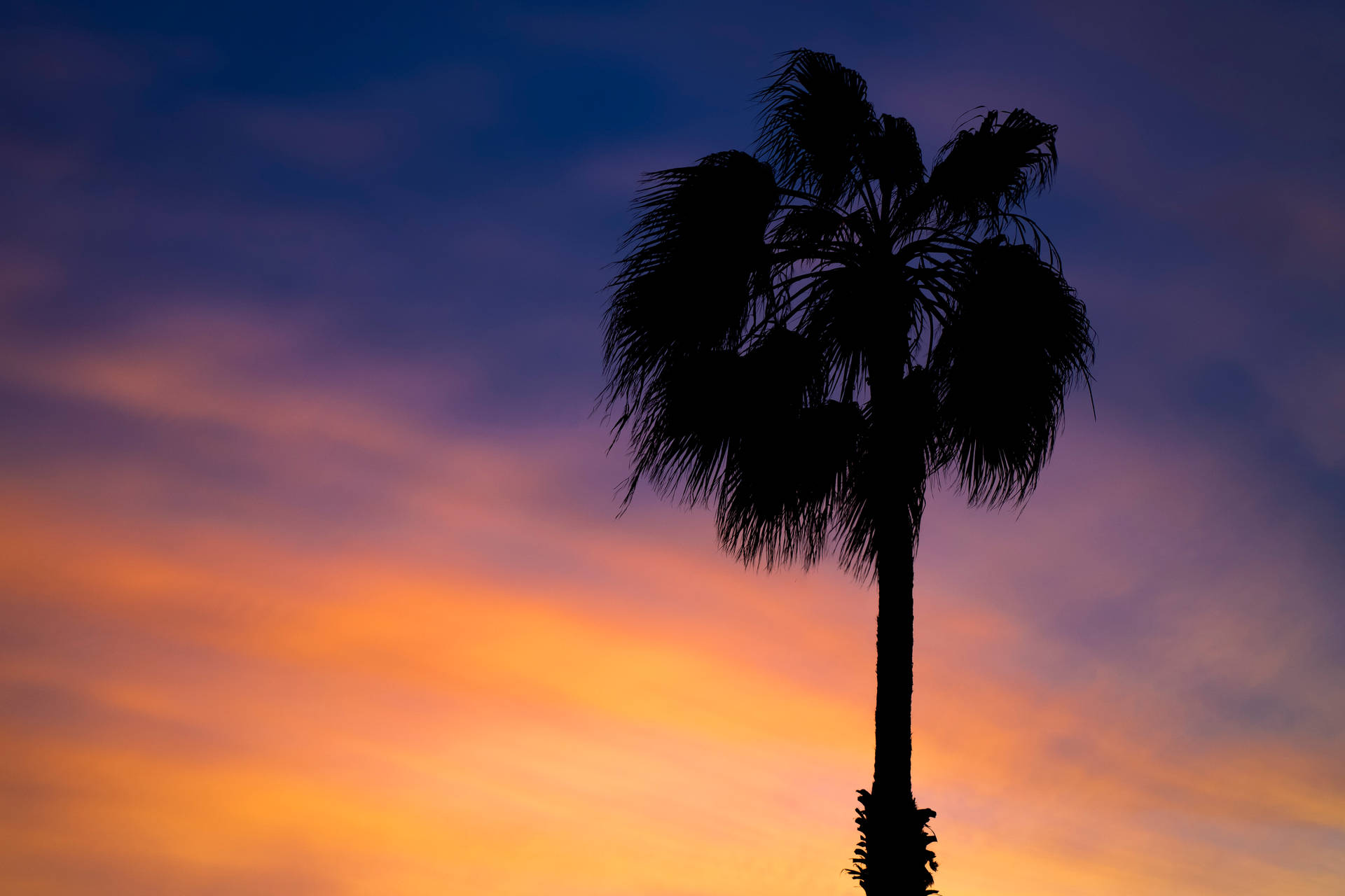 Aruba Beach Twilight Sky