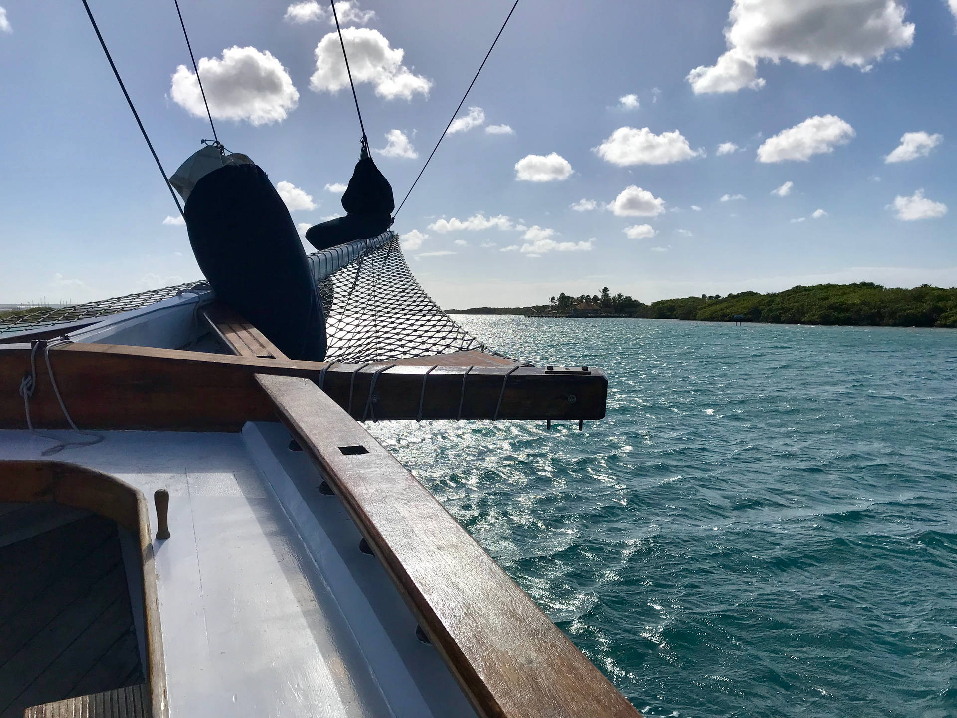 Aruba Cruising View Background