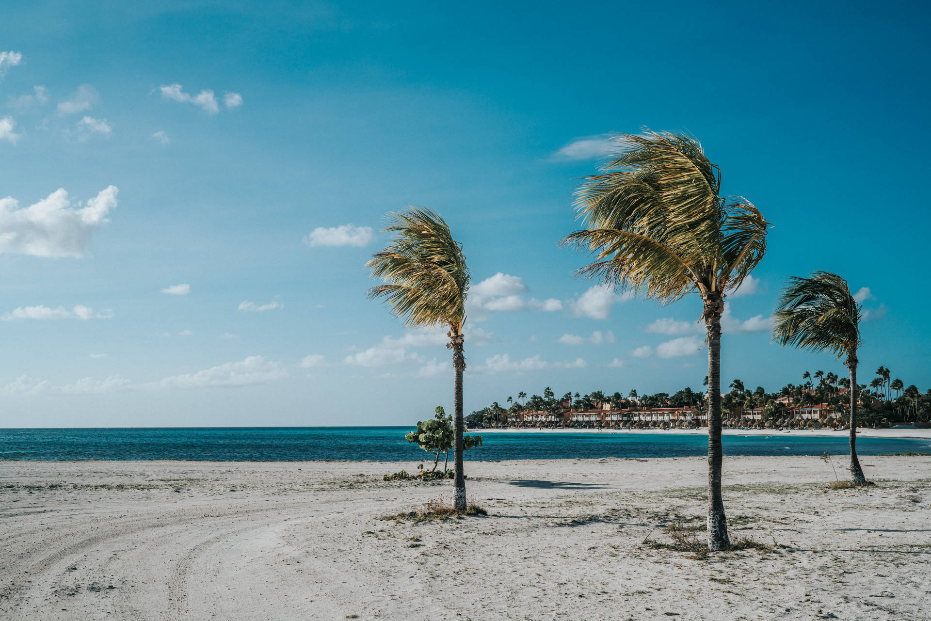 Aruba Tranquil Eagle Beach