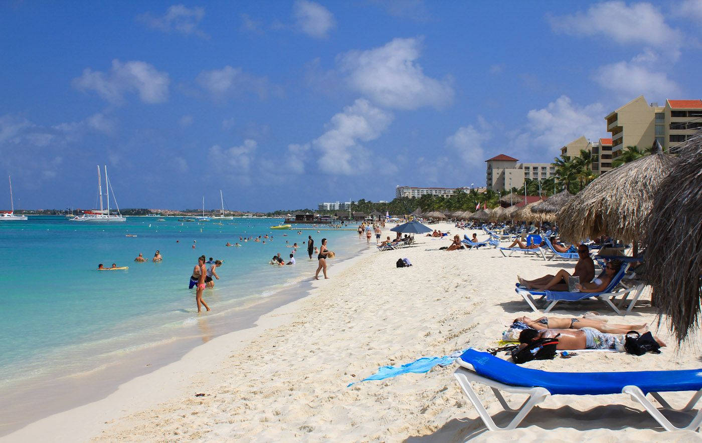 Aruba White Sandy Shore