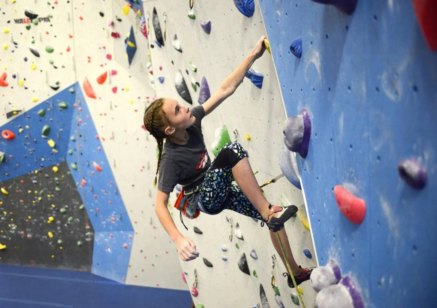 Ascending To Victory: An Adventure In Indoor Sport Climbing