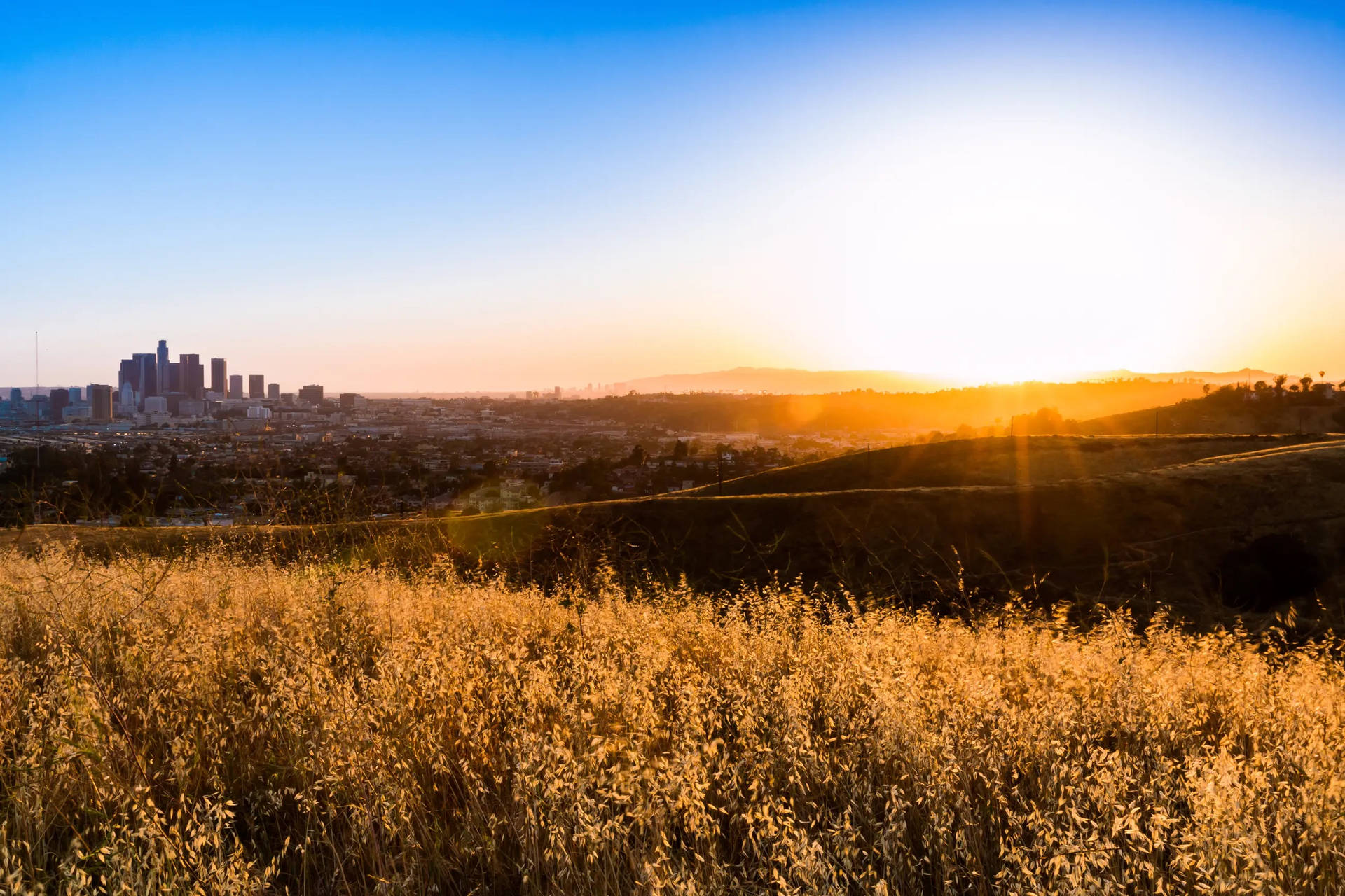 Ascot Hills Los Angeles Sunset Background