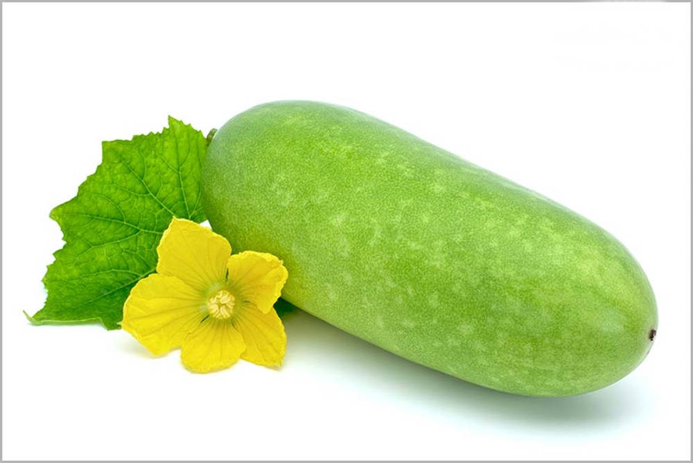 Ash Gourd With A Yellow Flower