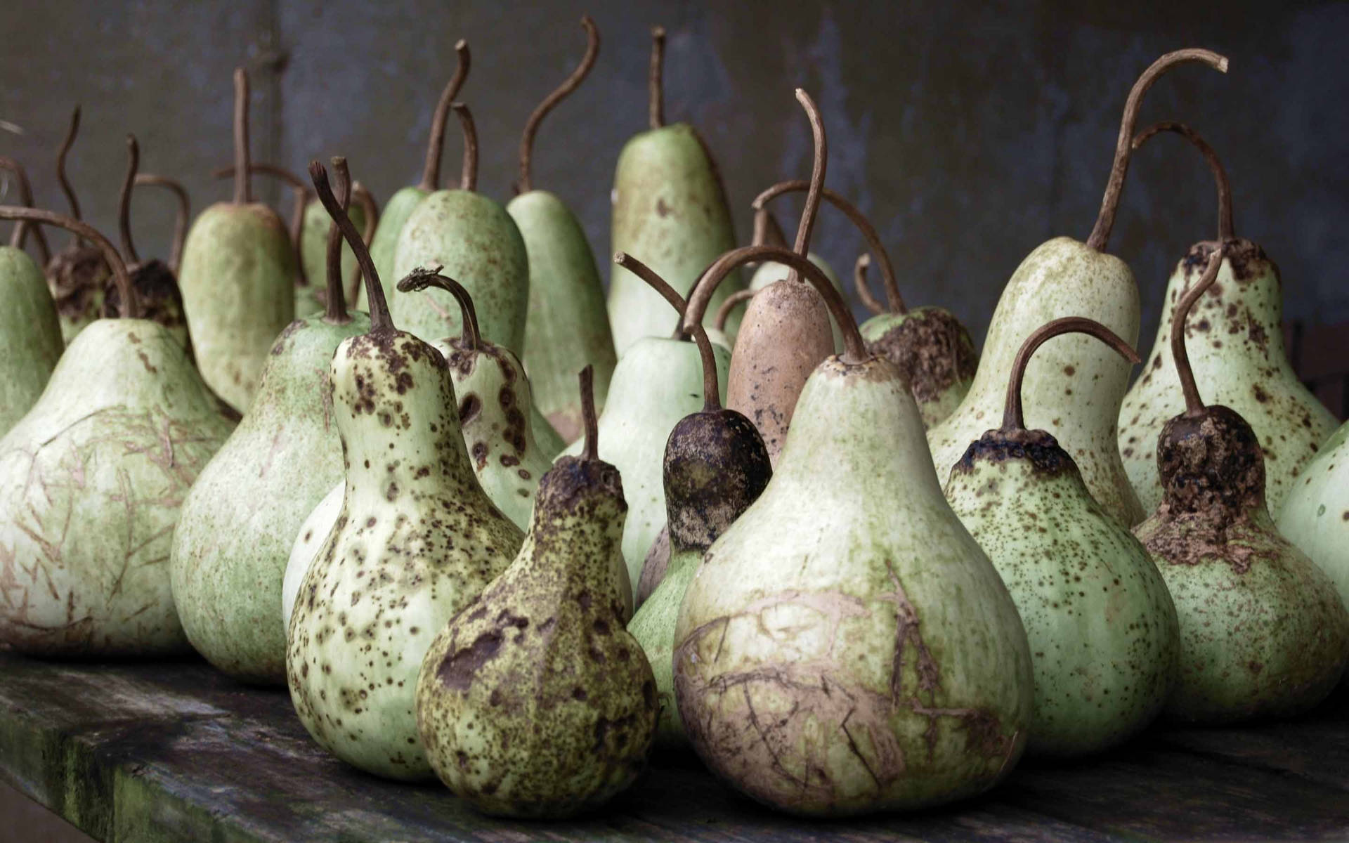 Ash Gourd With Different Shapes Background