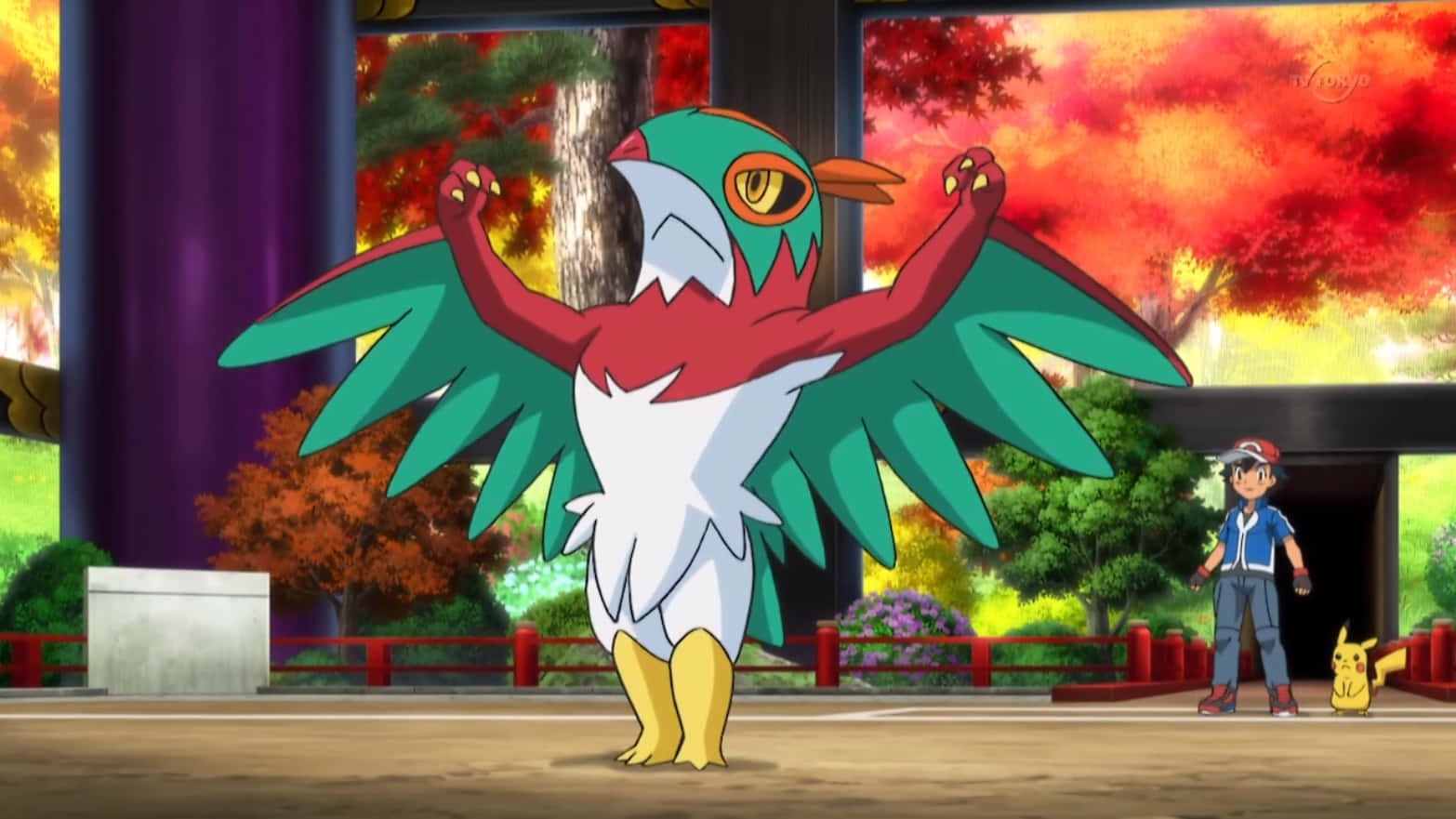 Ash Hawlucha Strong