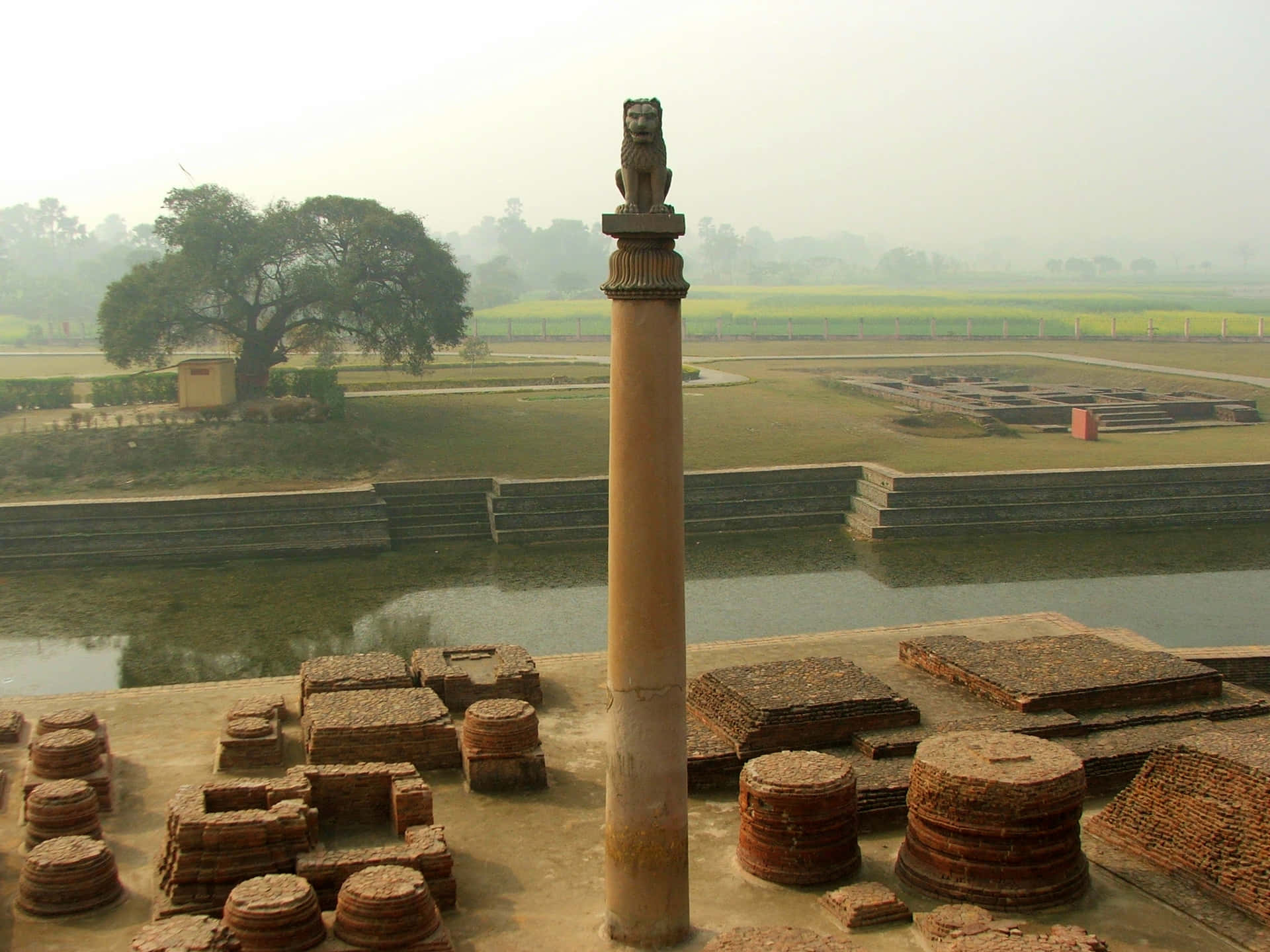 Ashoka Pillar Foggy Day