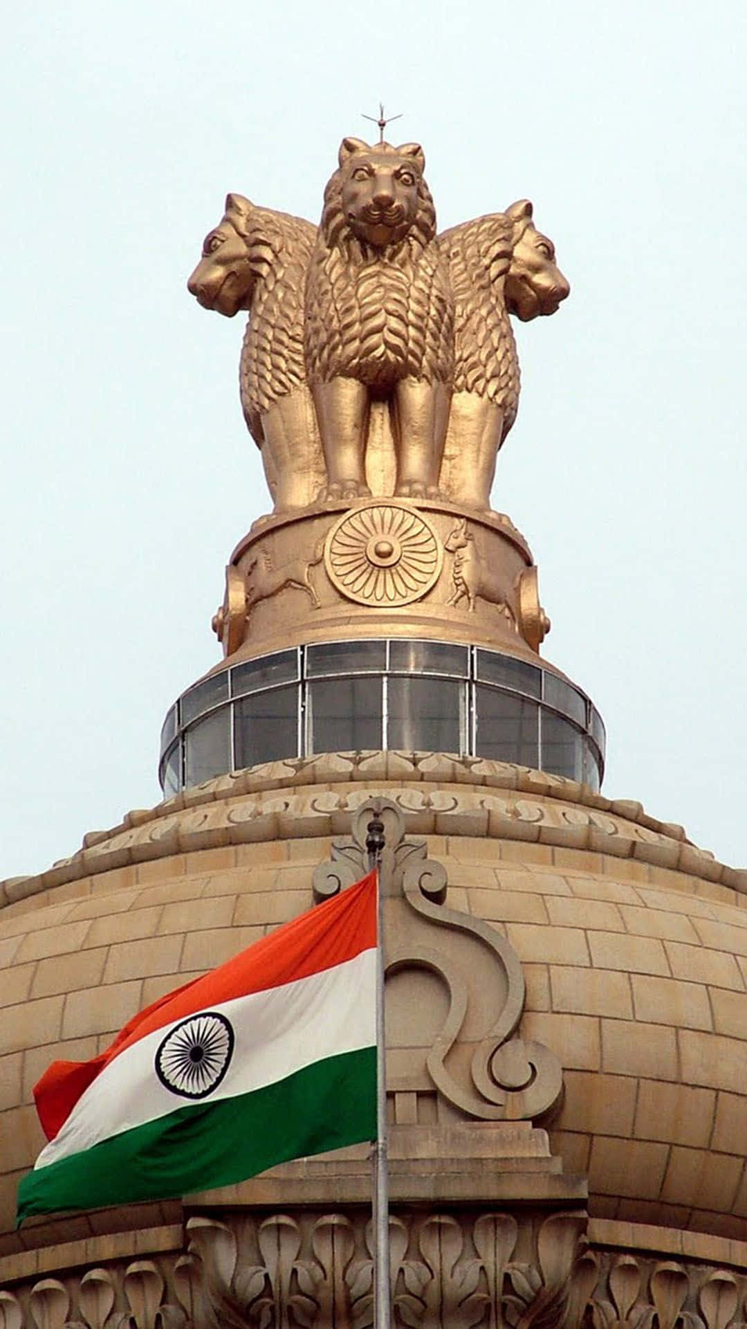 Ashoka Pillar India Flag