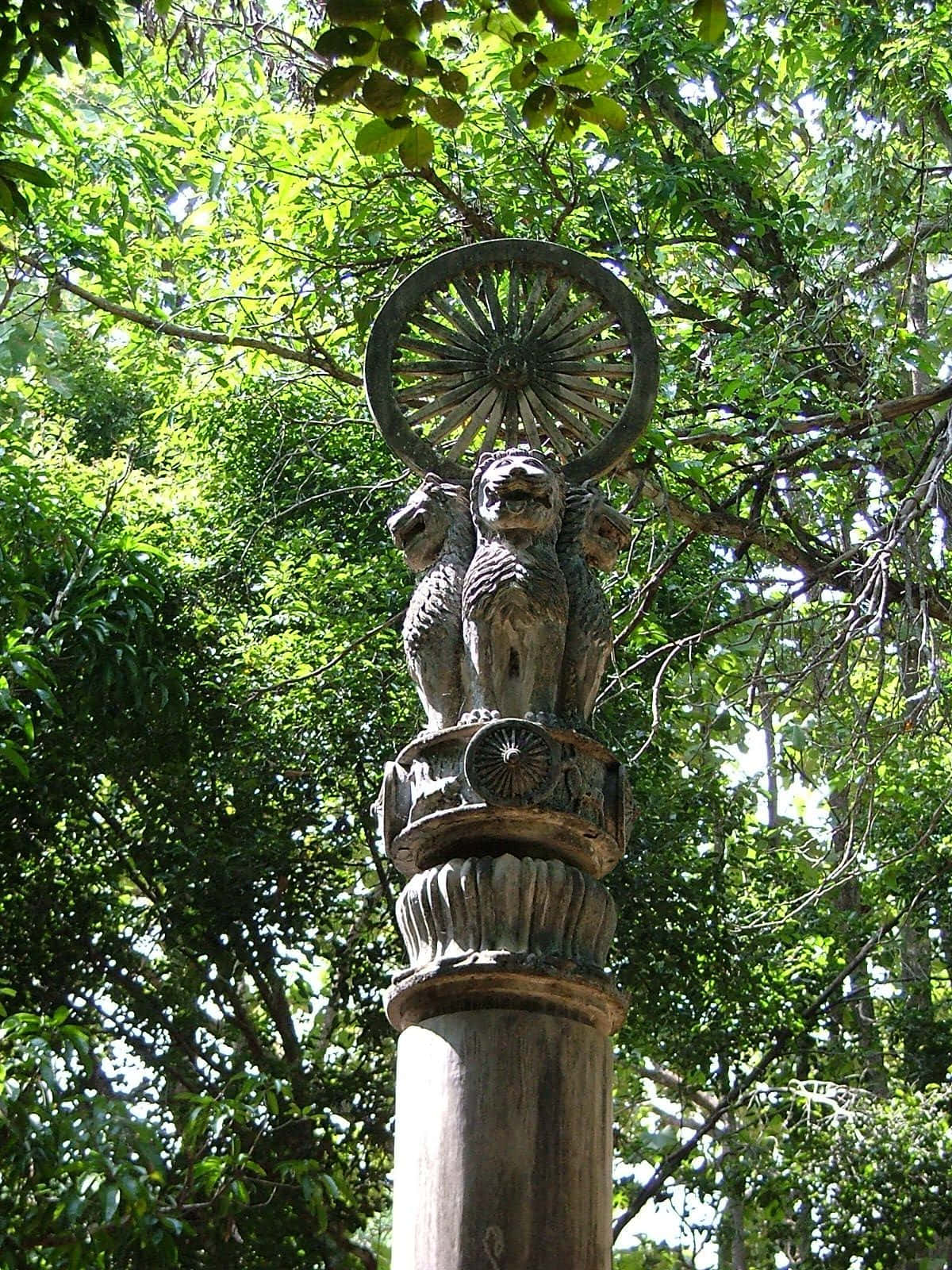Ashoka Pillar Surrounded By Trees