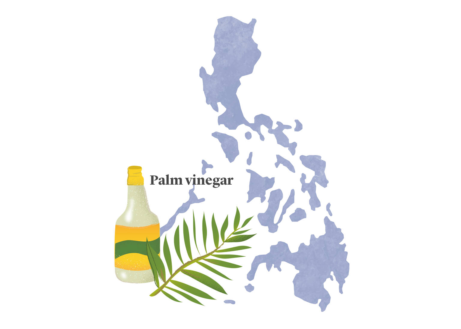 Asian Spices Philippines Palm Vinegar