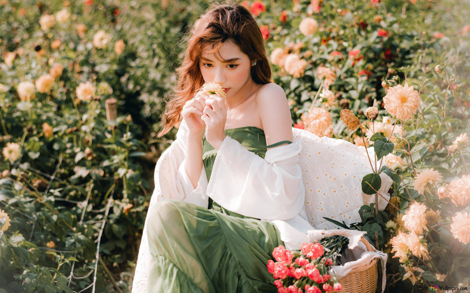 Asian Women Picking Flowers Background