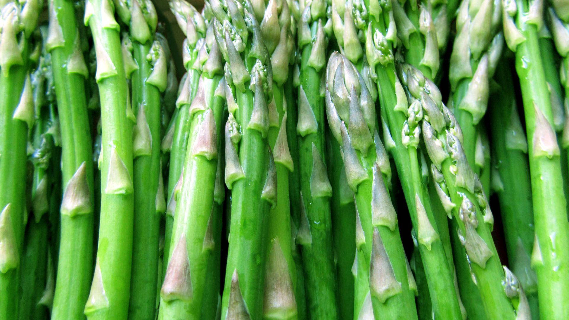 Asparagus Green Organic Herb