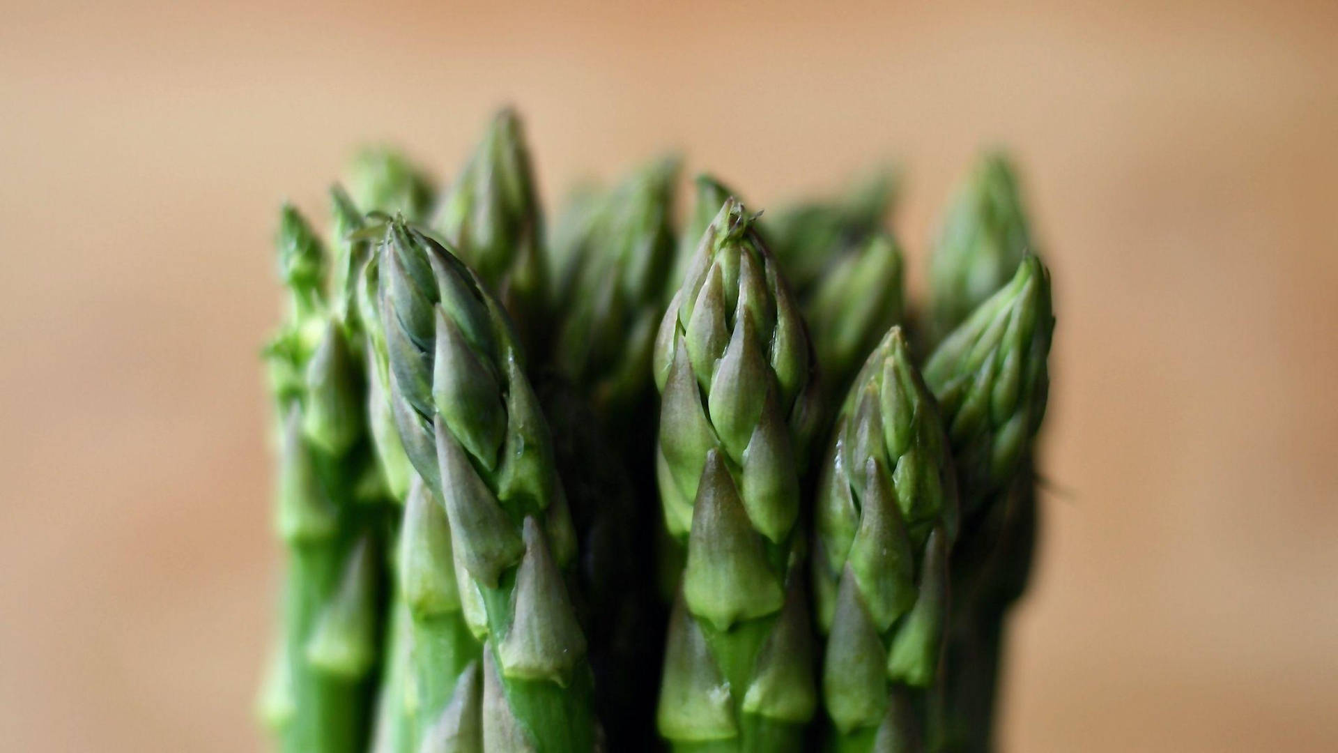 Asparagus Green Young Vegetable Shoots Background