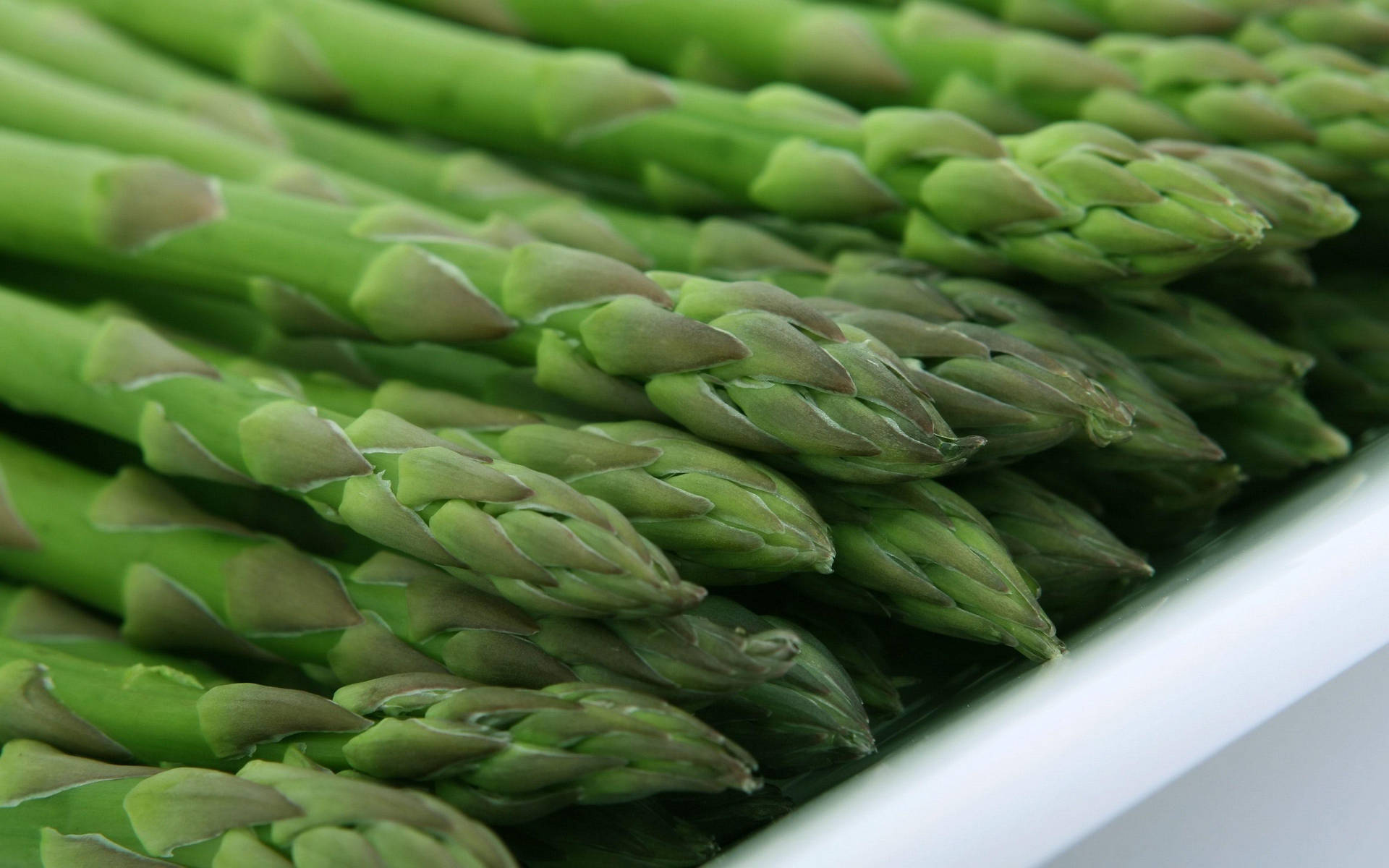 Asparagus Vegetables Served On White Plate Background