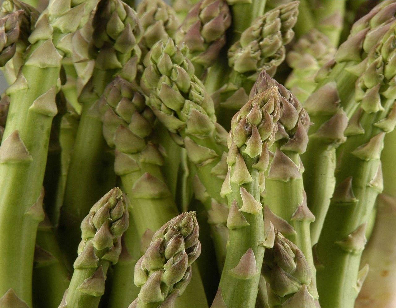 Asparagus With Modified Triangular Leaves Background