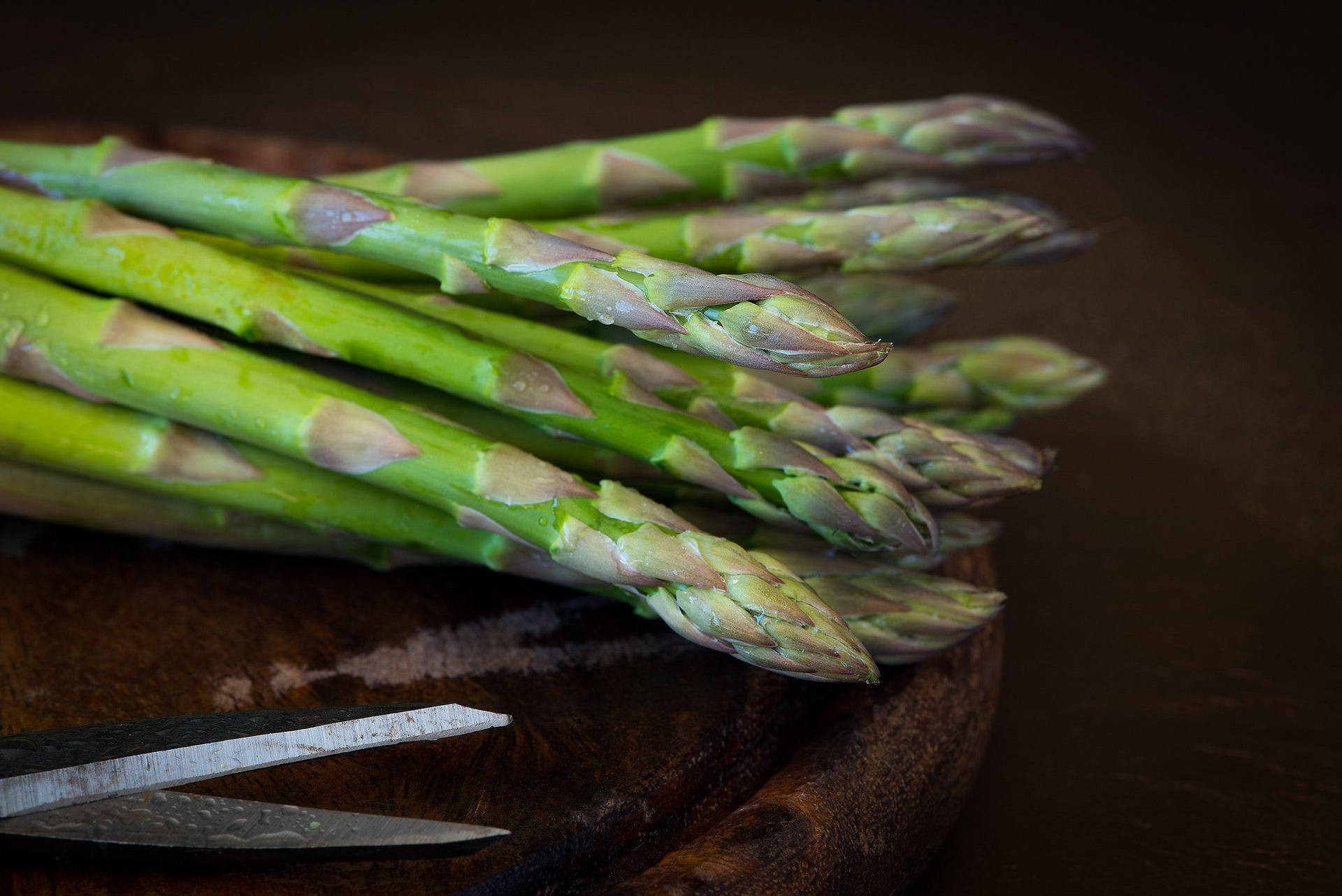 Asparagus With Short Needle Leaves Background