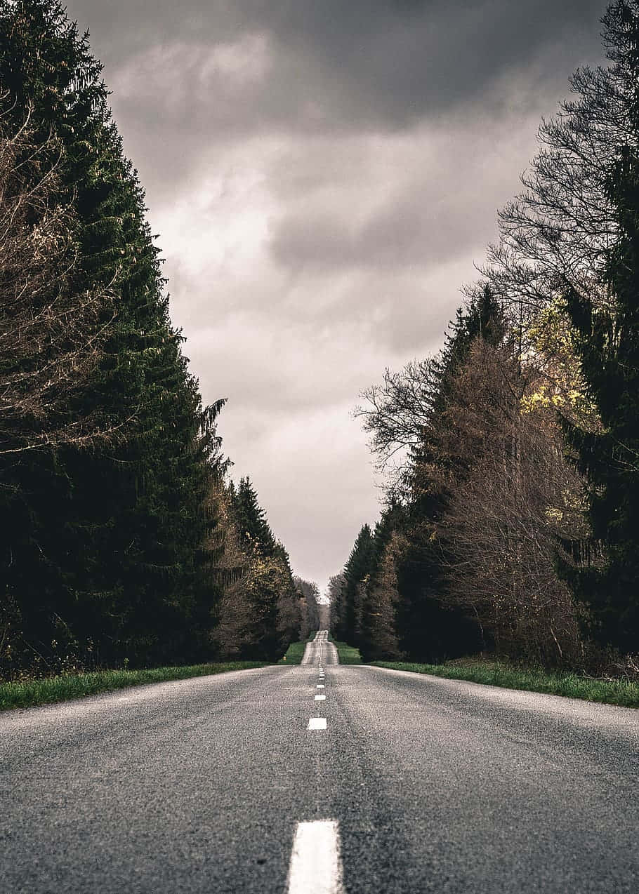Asphalt Road Adventure Background