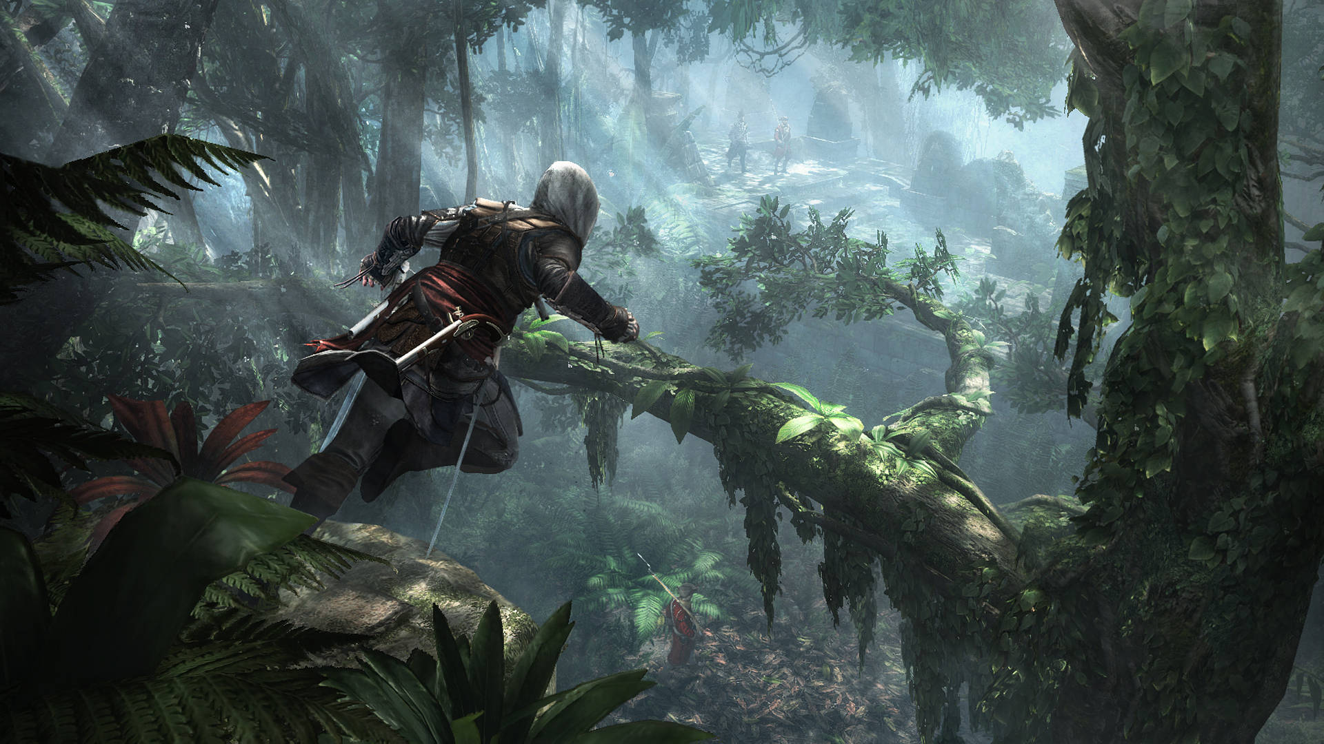 Assassin's Creed Black Flag Hidden Forest Background