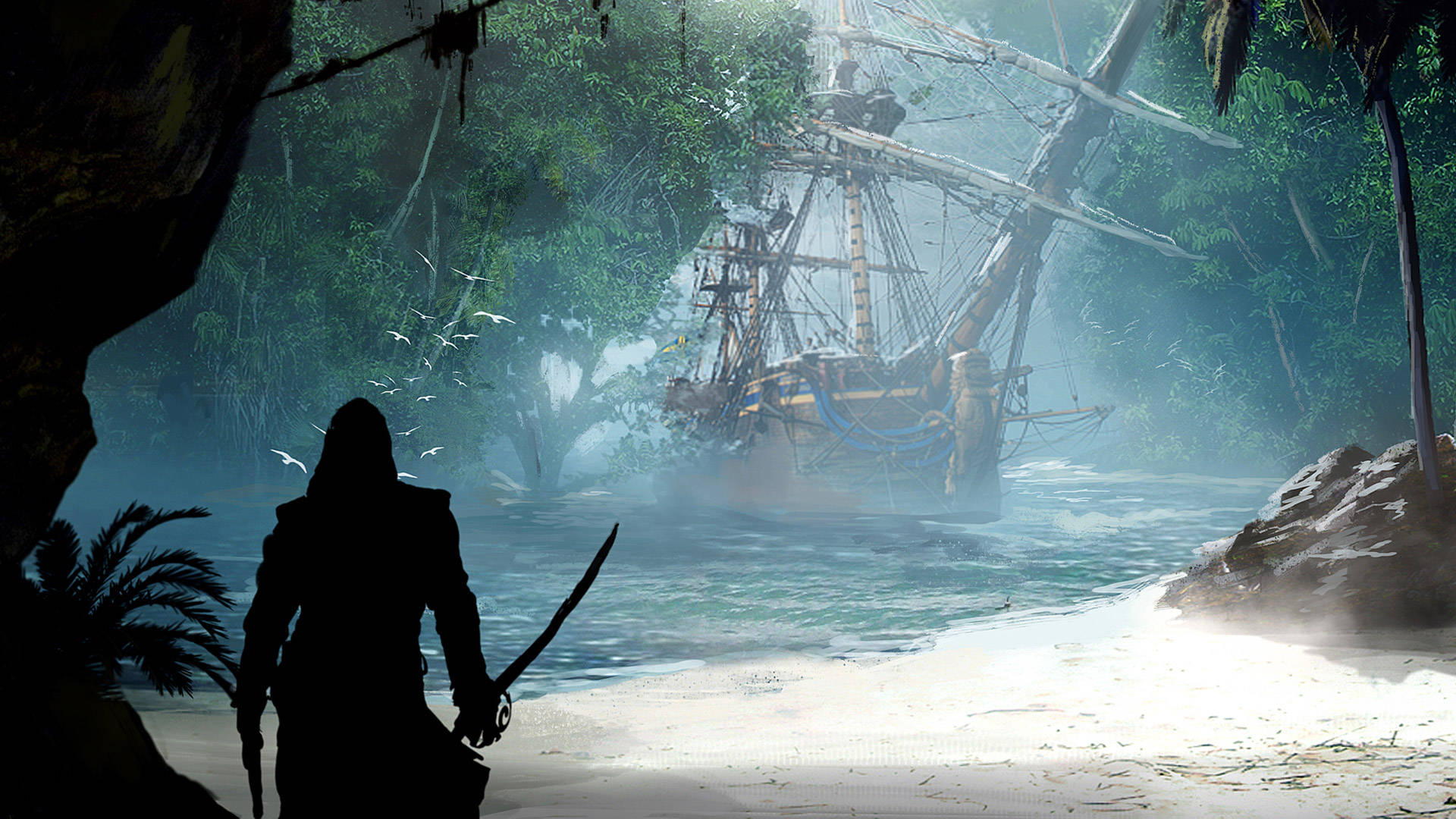 Assassin's Creed Black Flag Soldier's Silhouette Background
