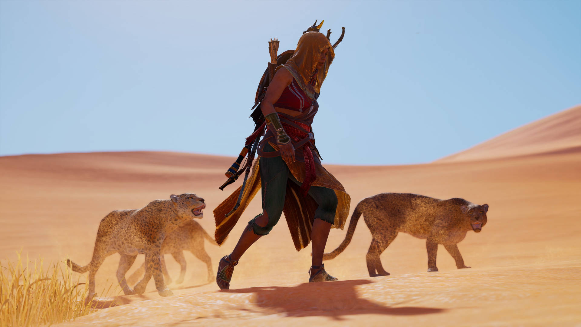 Assassin's Creed Origins Cheetahs