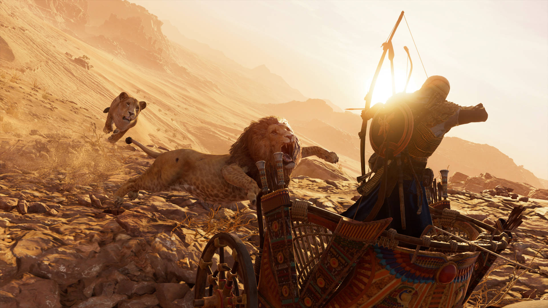 Assassins Creed Origins Bayek Firing Lion Background
