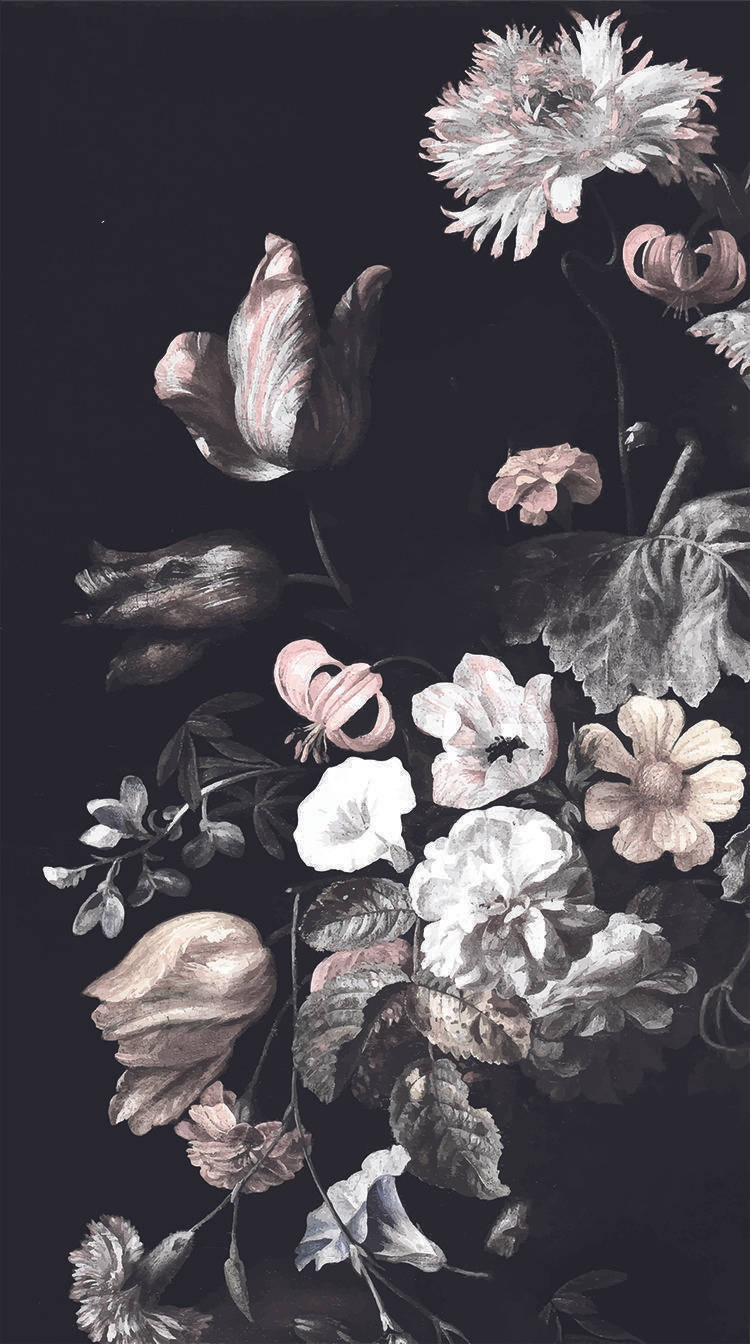 Assorted Dark Hd Flowers Phone Background