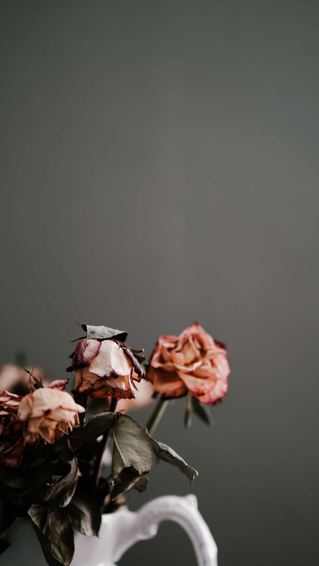 Assorted Dried Flowers Collection