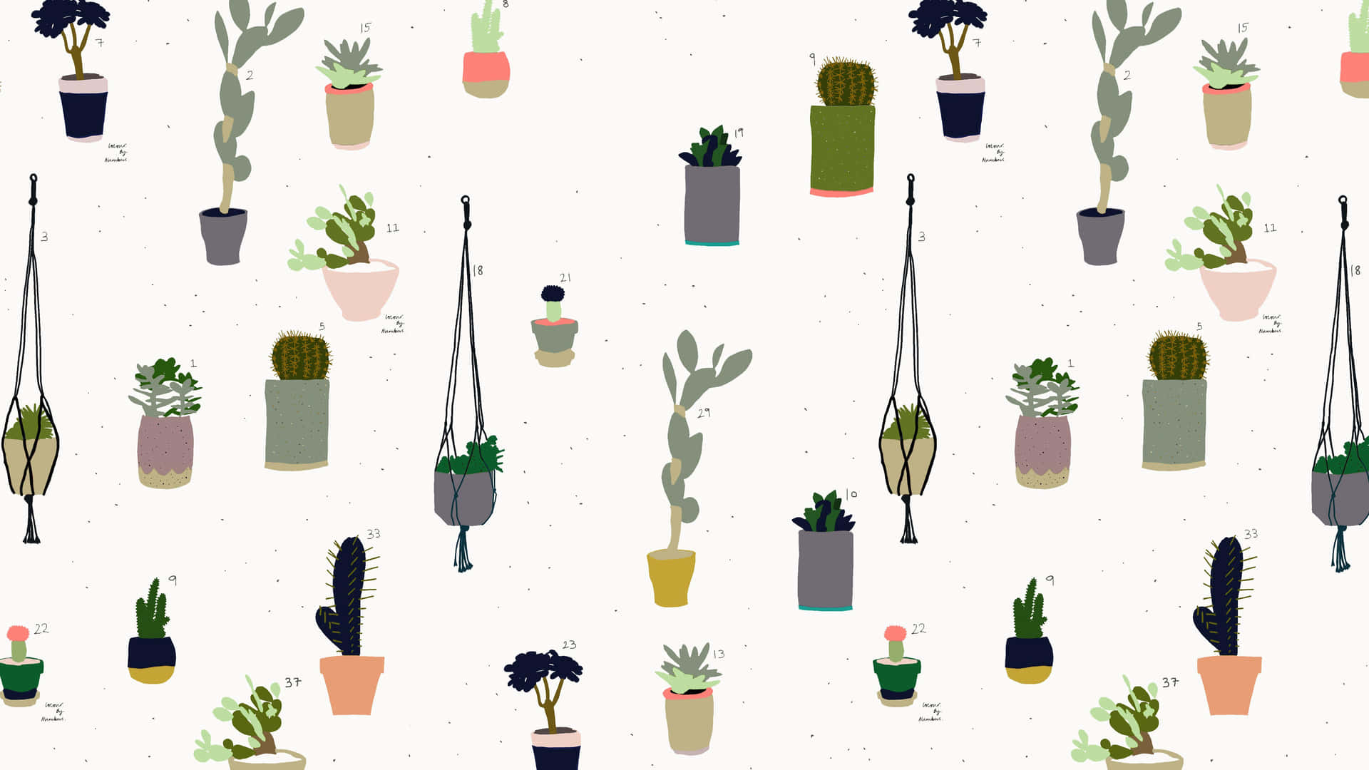 Assorted Indoor Cactiand Succulents Pattern Background