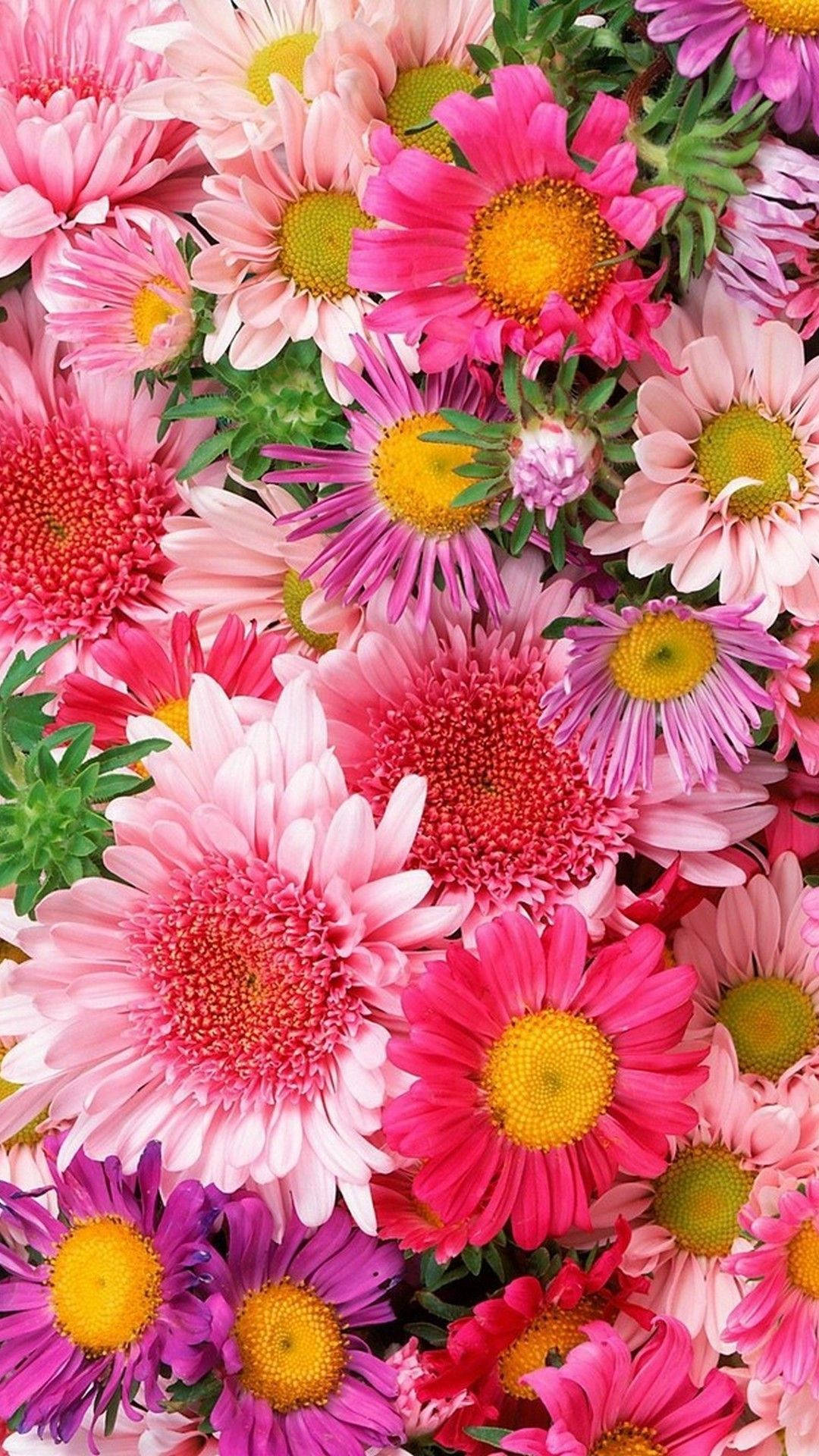 Assorted Pink Flowers Background