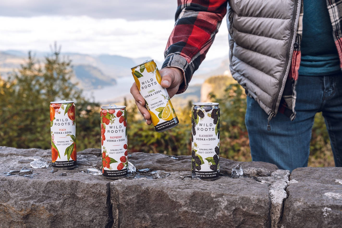 Assortment Of Wild Roots Vodka Soda Cans