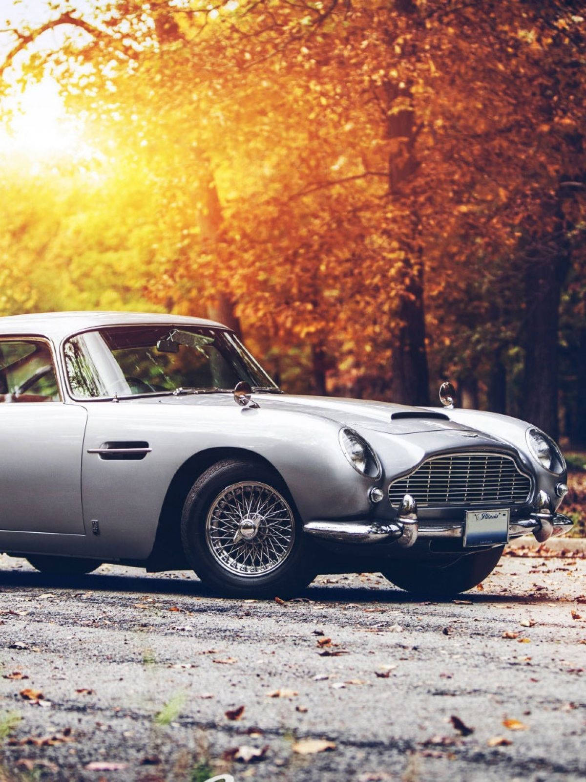 Aston Martin Classic White Car Phone