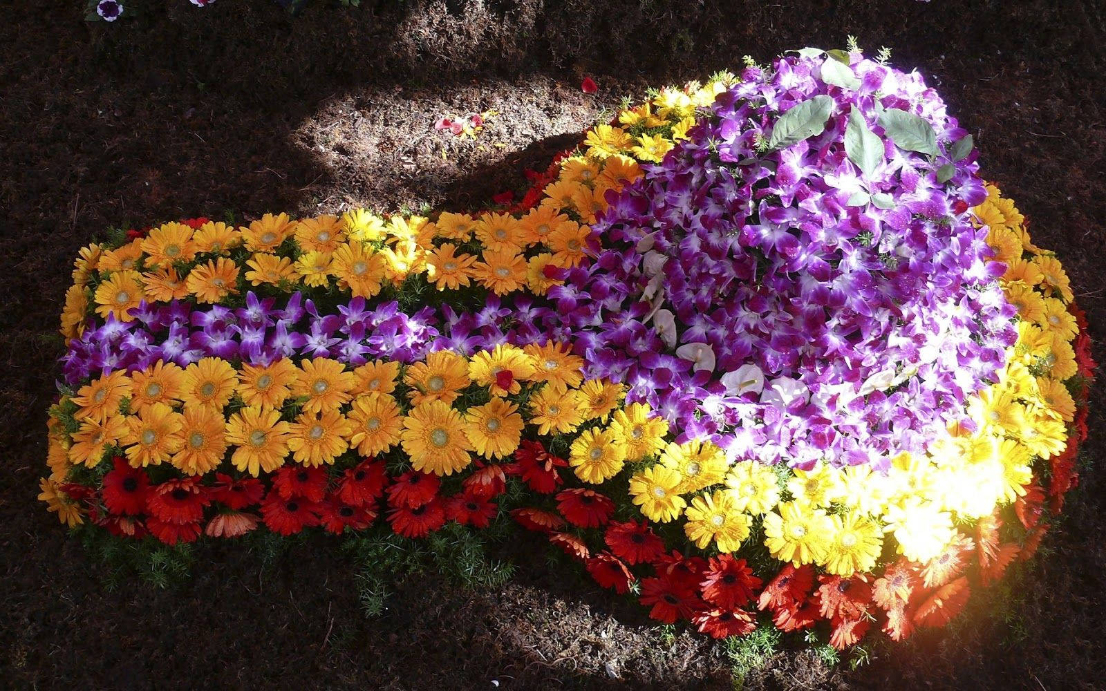 Astonishing Colorful Flowers Shiva Lingam Background