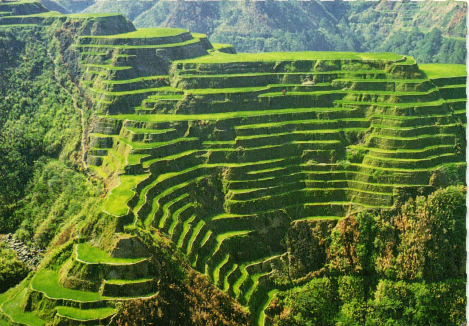 Astonishing Scenery Of Banaue Rice Terraces Background