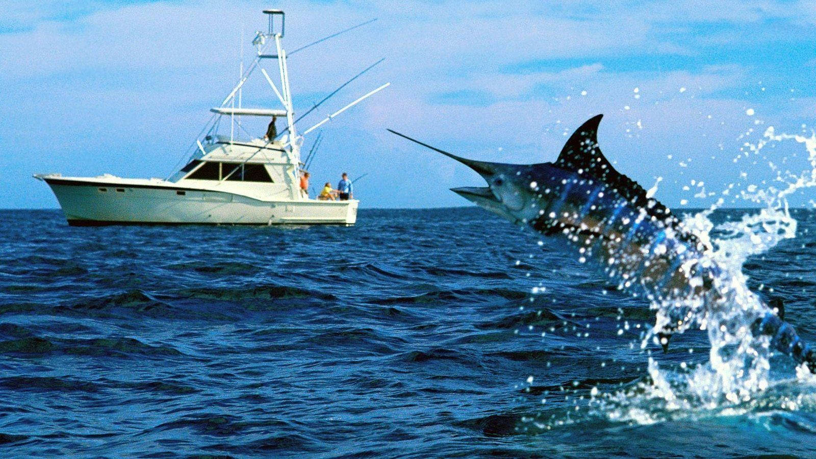 Astonishing Swordfish Jumping Out Background