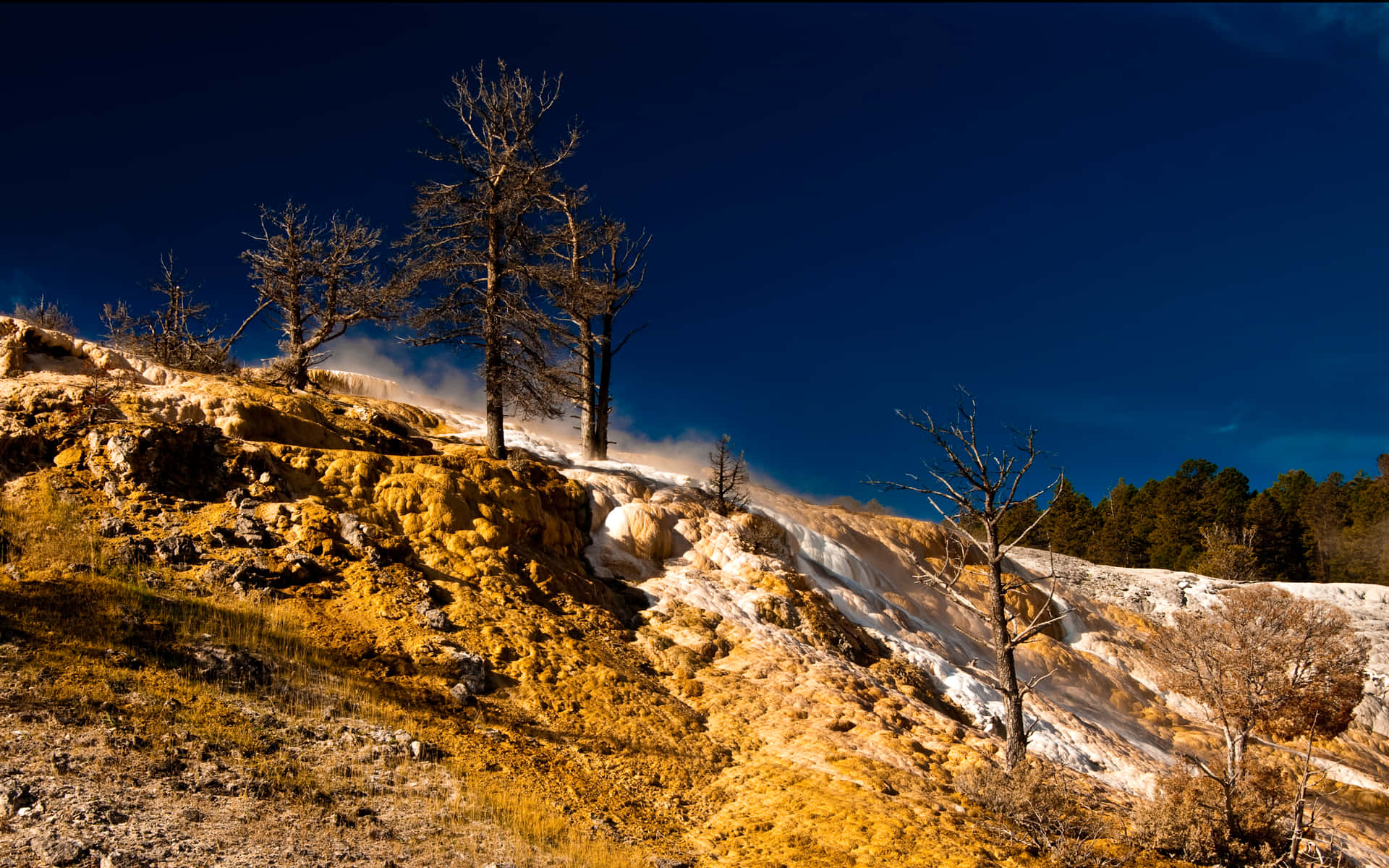 'astonishing Views Of Yellowstone'