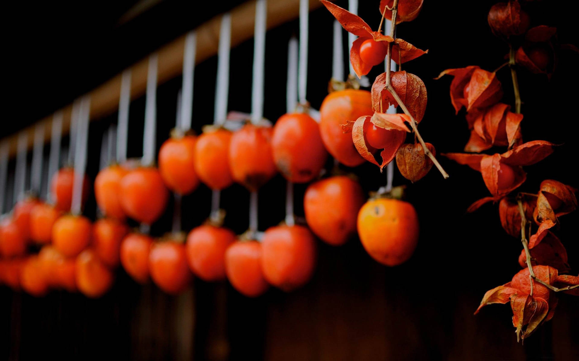 Astounding Sight Of Persimmon Fruit