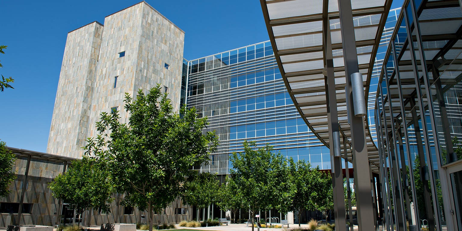 At The Back Of Chandler City Hall Background