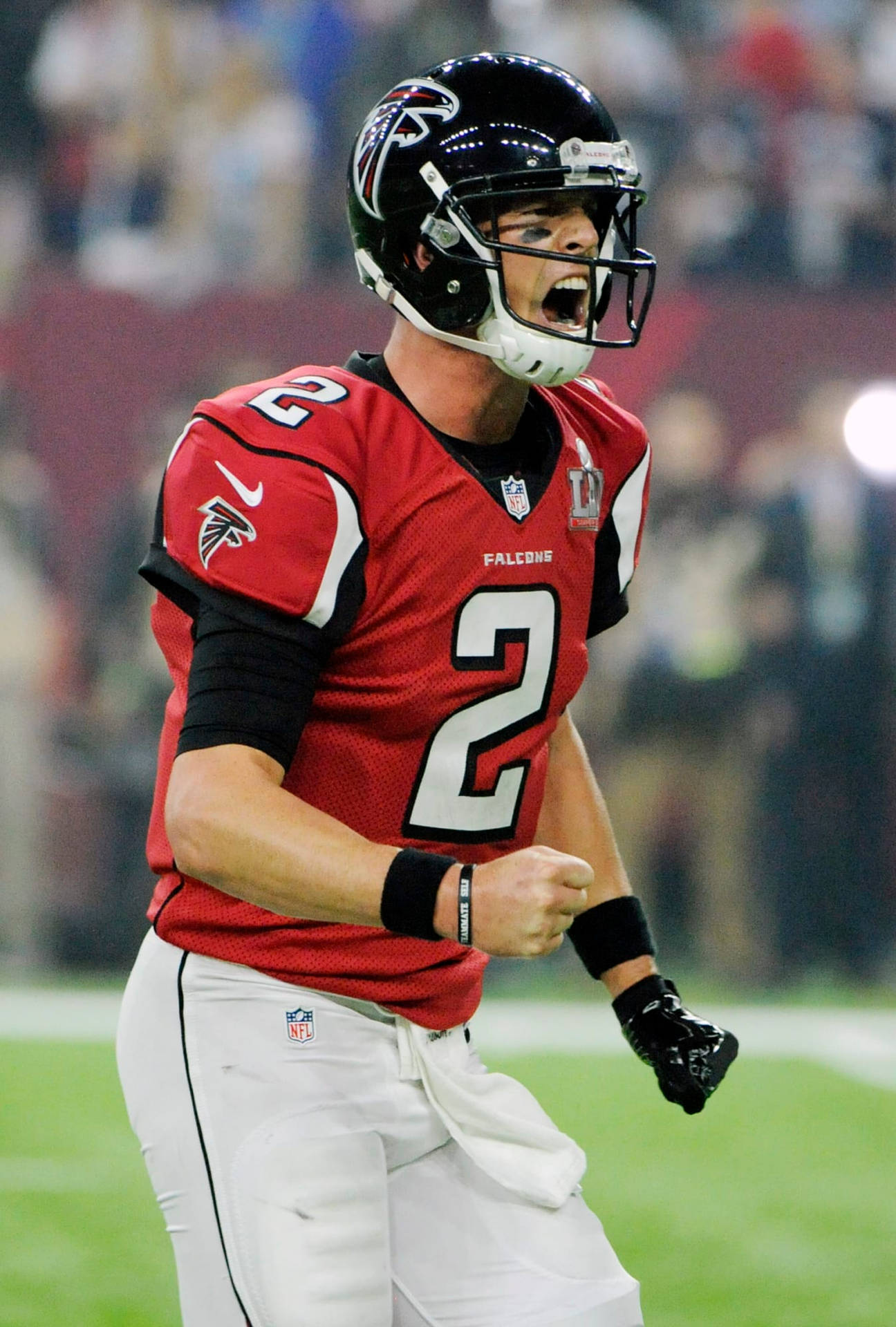 Atlanta Falcons Matt Ryan Celebrating